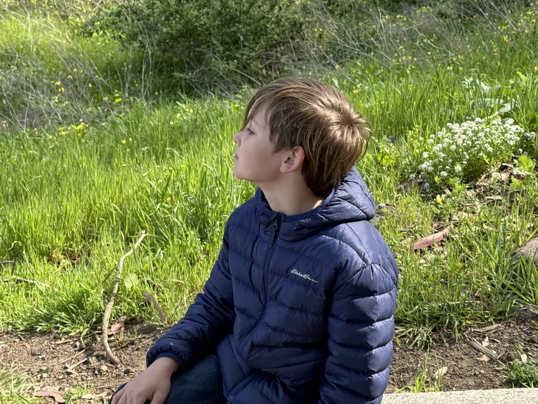 Lands End — the Coastal Trail