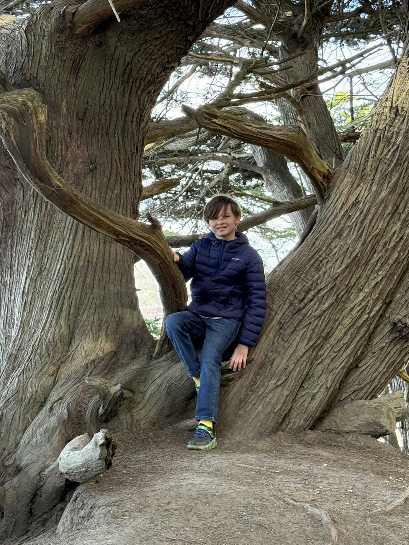 Lands End — the Coastal Trail