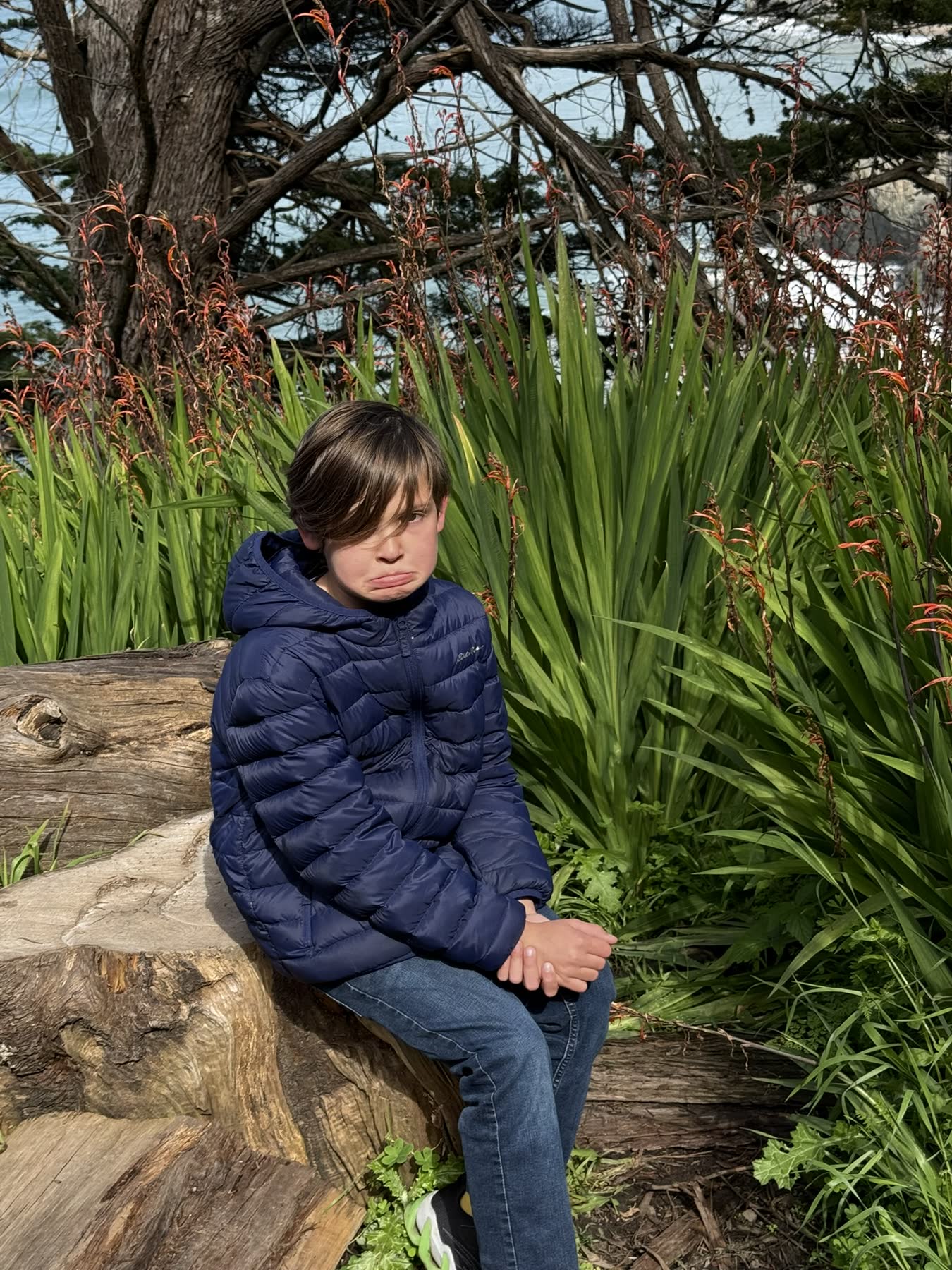 Lands End — the Coastal Trail