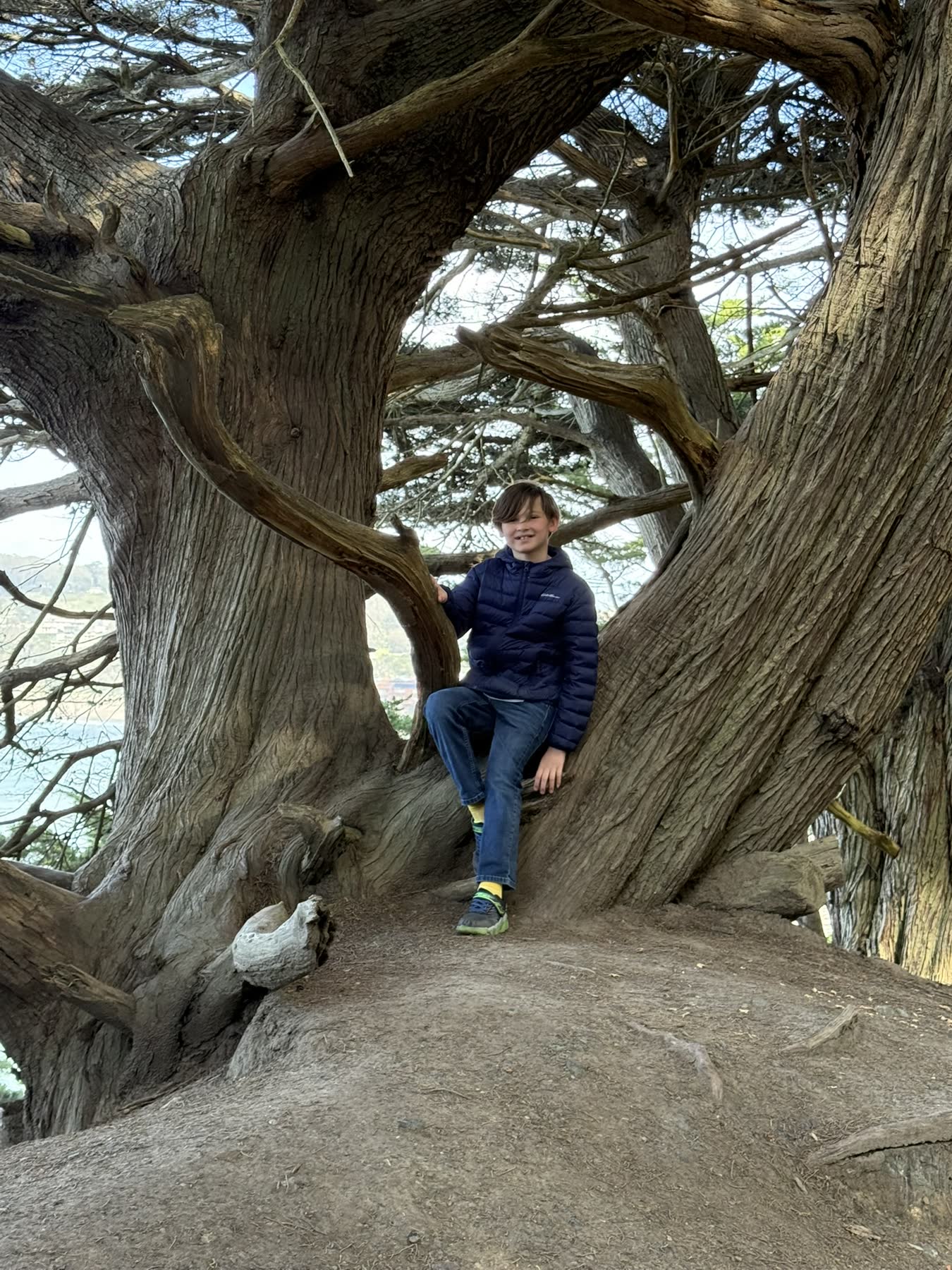 Lands End — the Coastal Trail