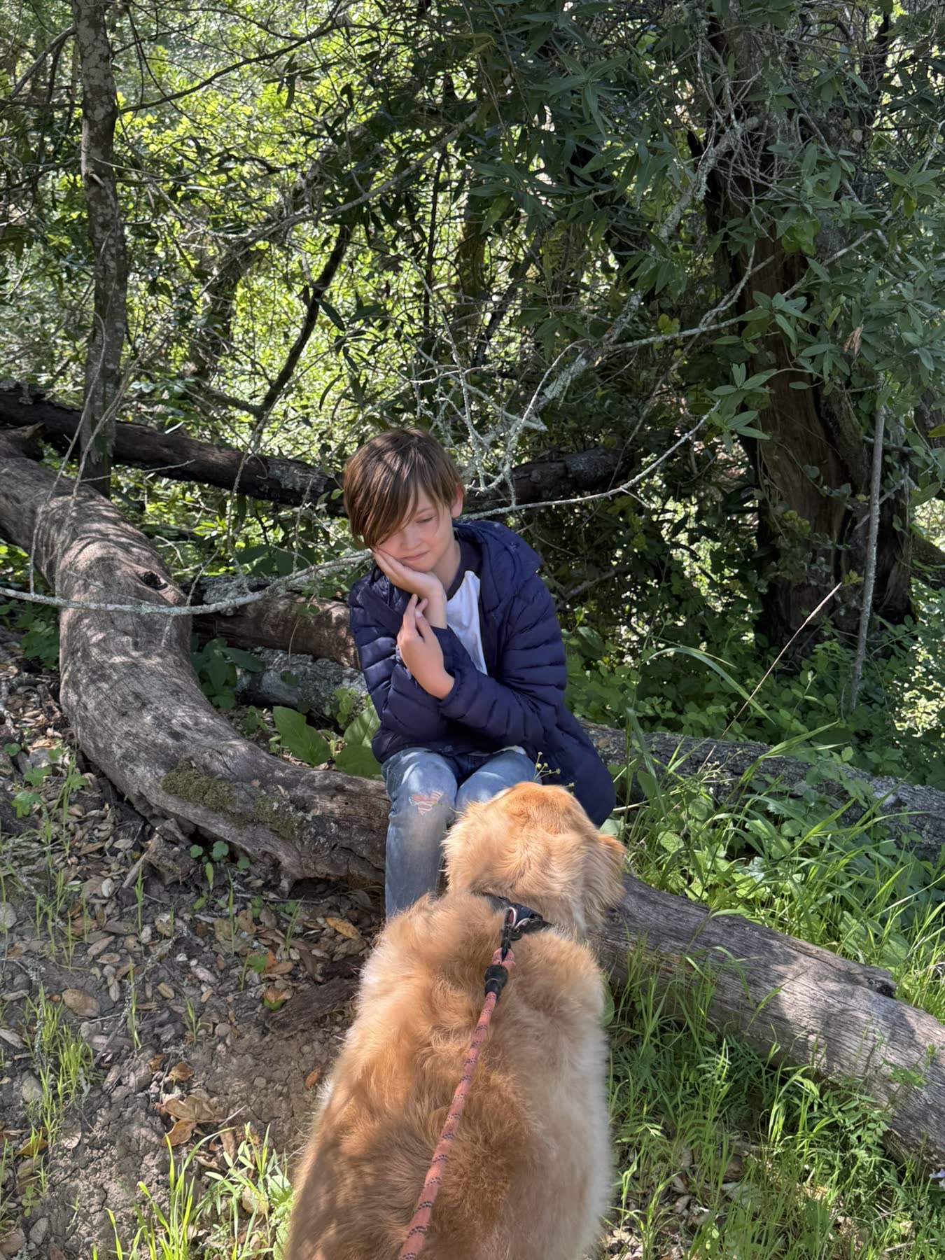 Las Trampas with Teddy