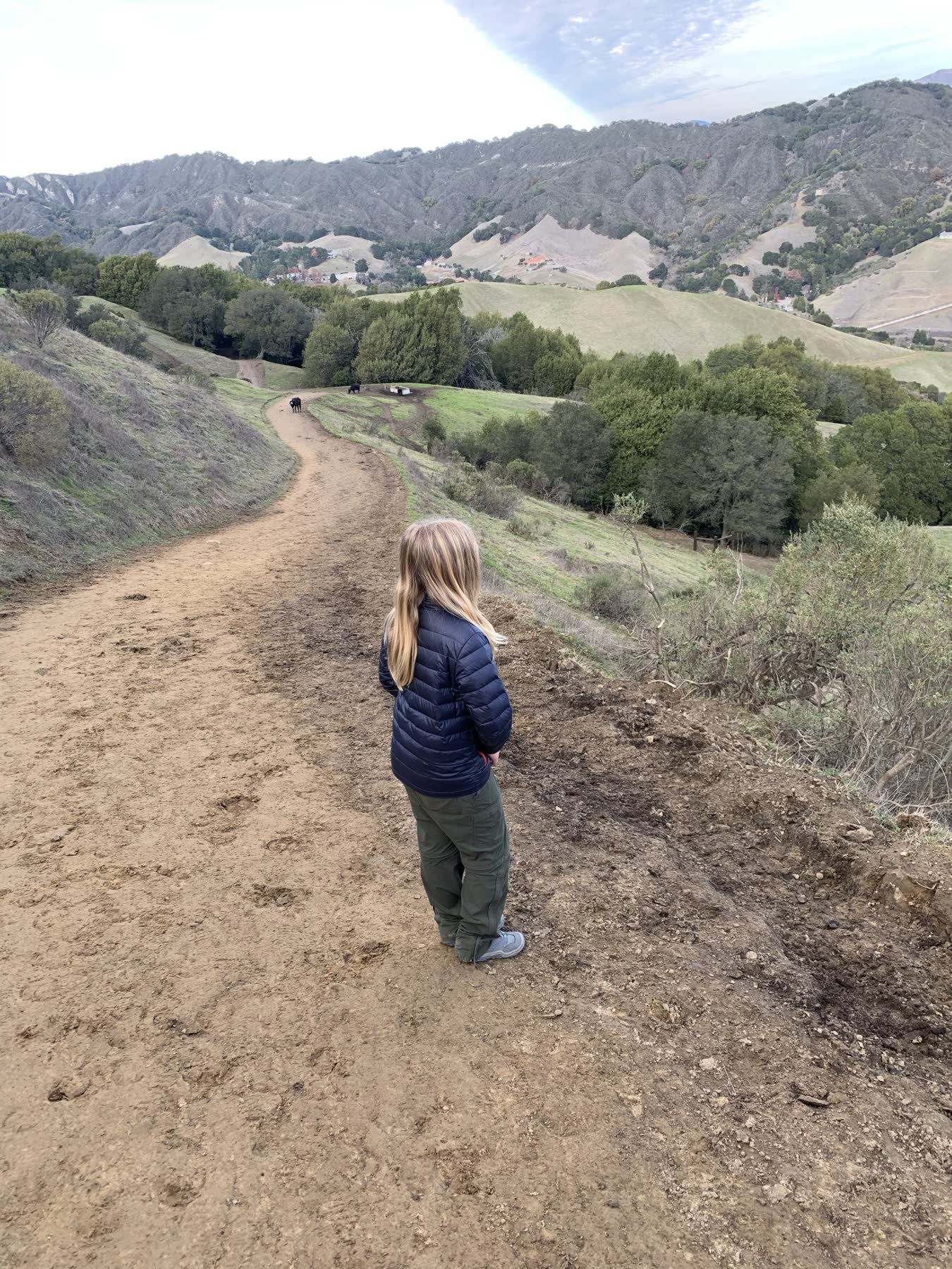 Las Trampas with Teddy