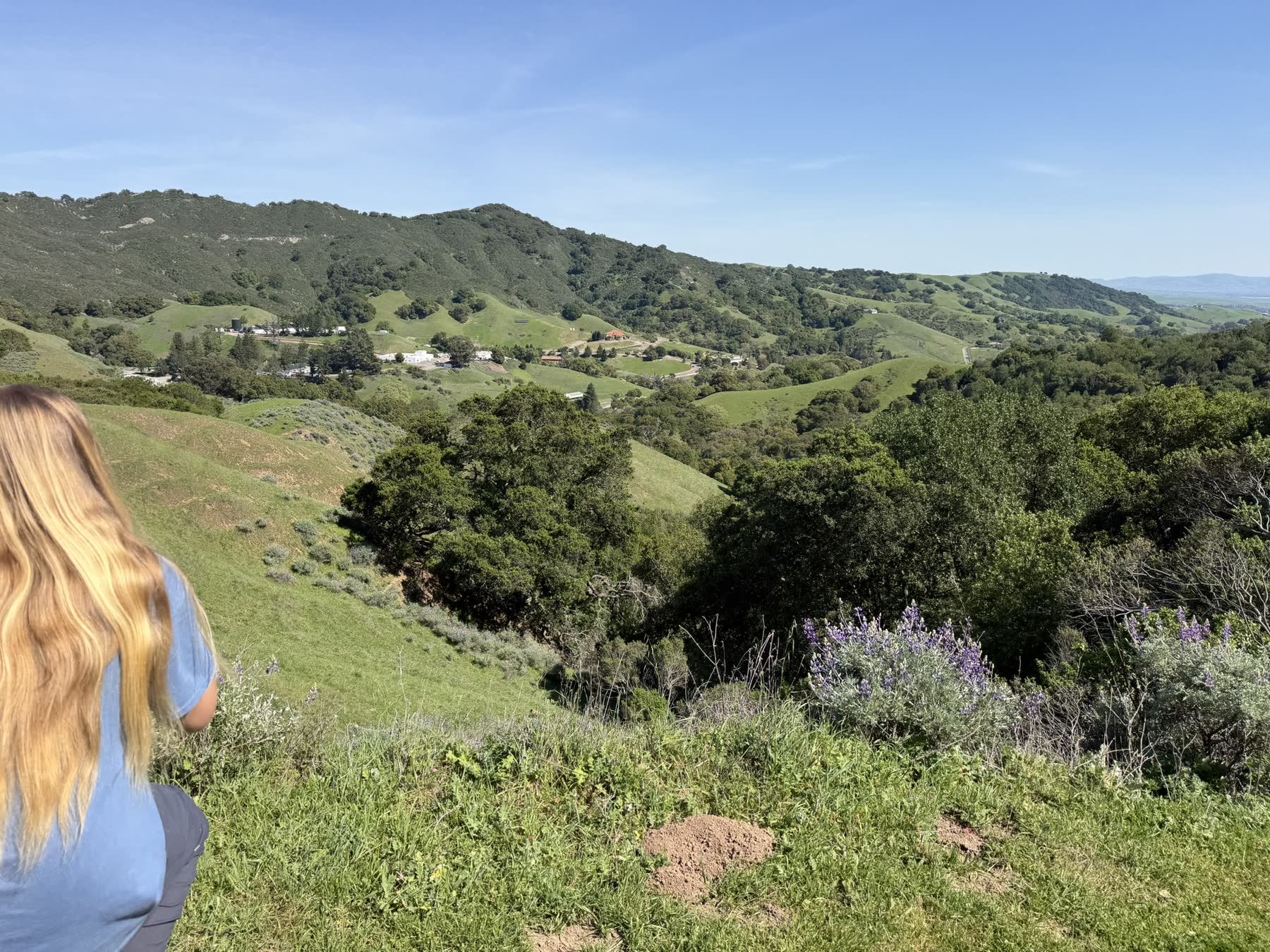 Las Trampas with Teddy