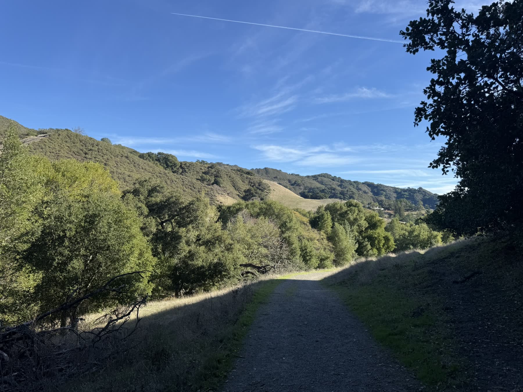 Las Trampas with Teddy
