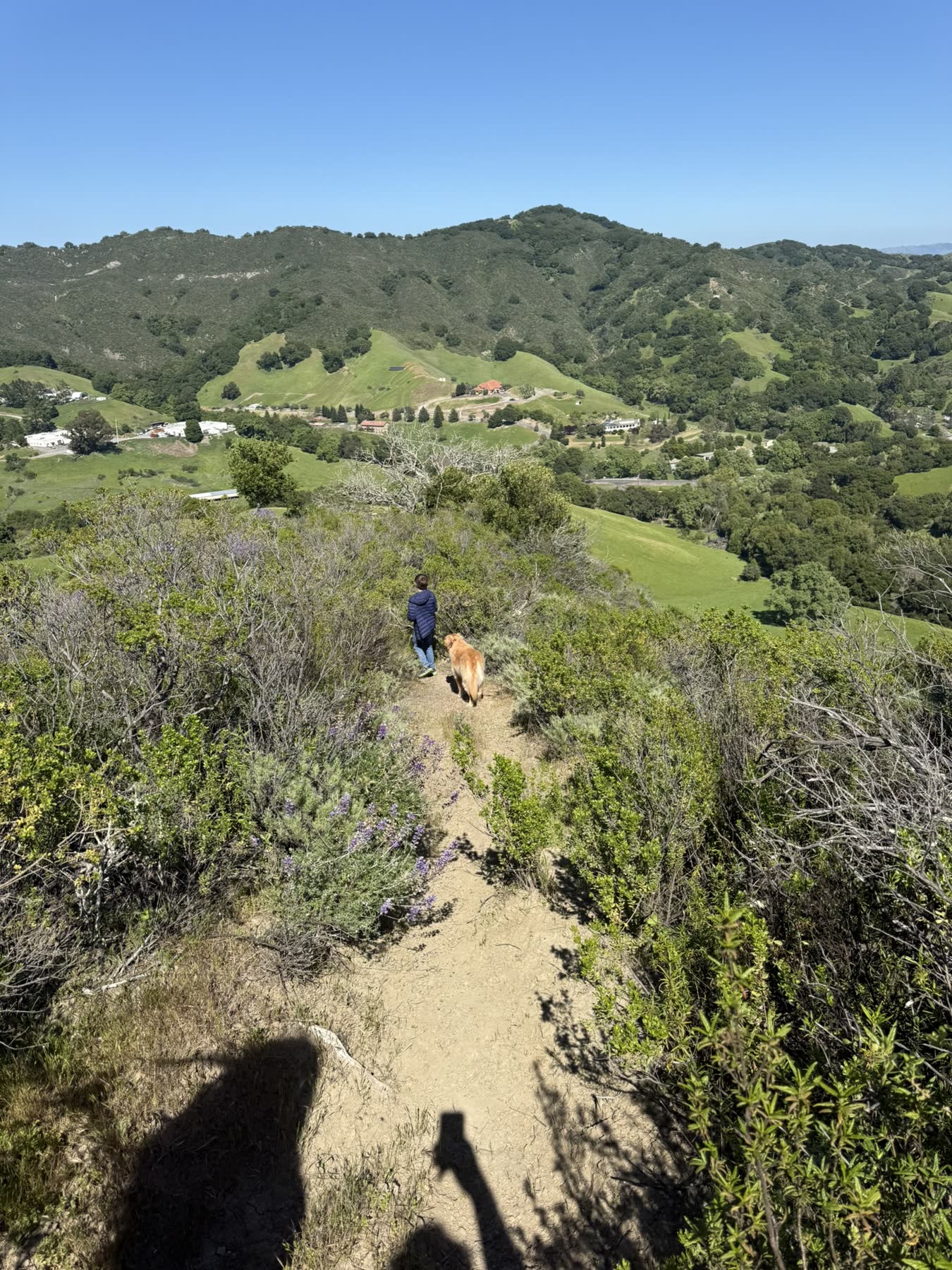 Las Trampas with Teddy