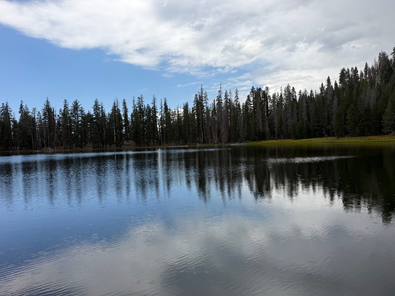 Lukens Lake