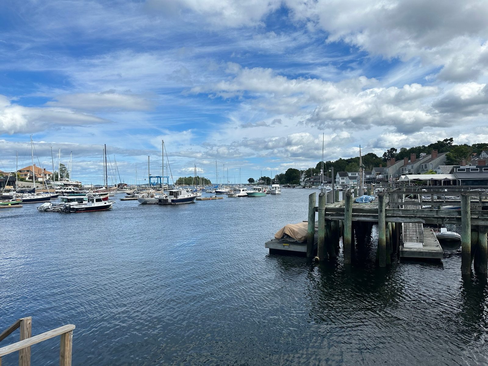Acadia & the Maine Coast with Teddy