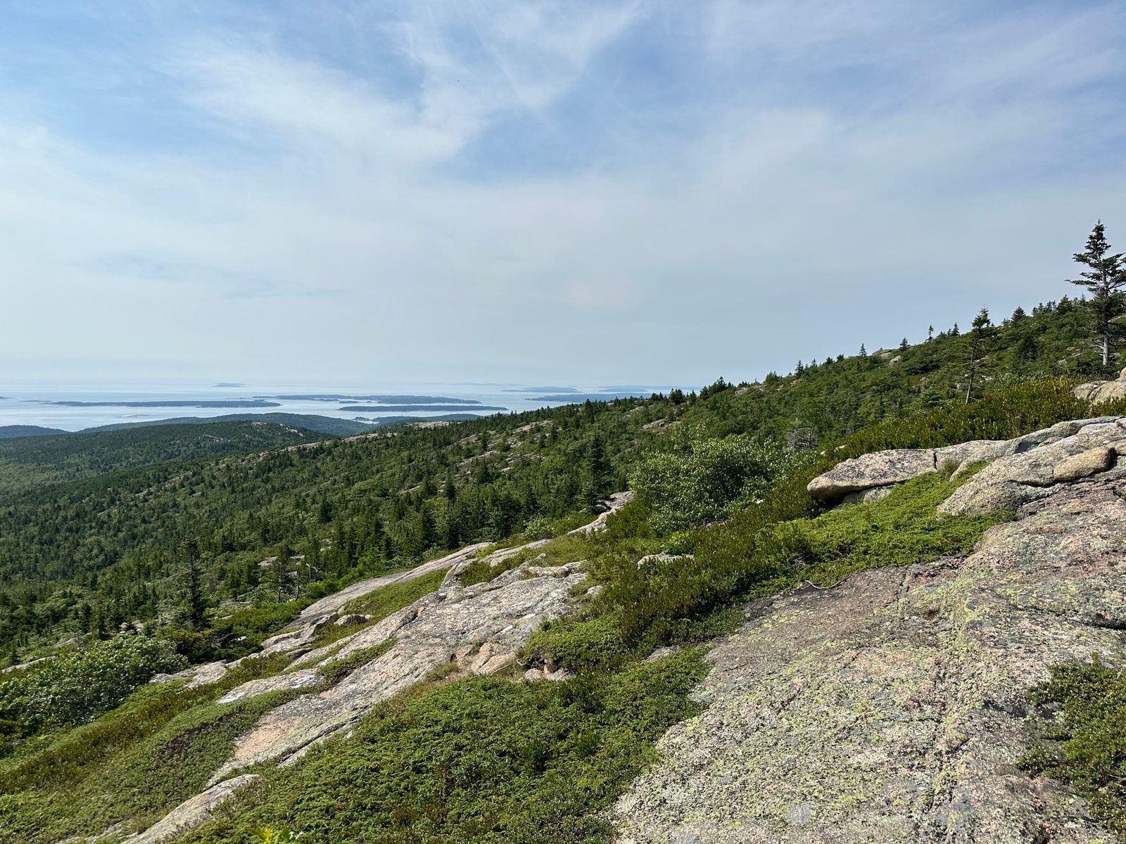 Acadia & the Maine Coast with Teddy