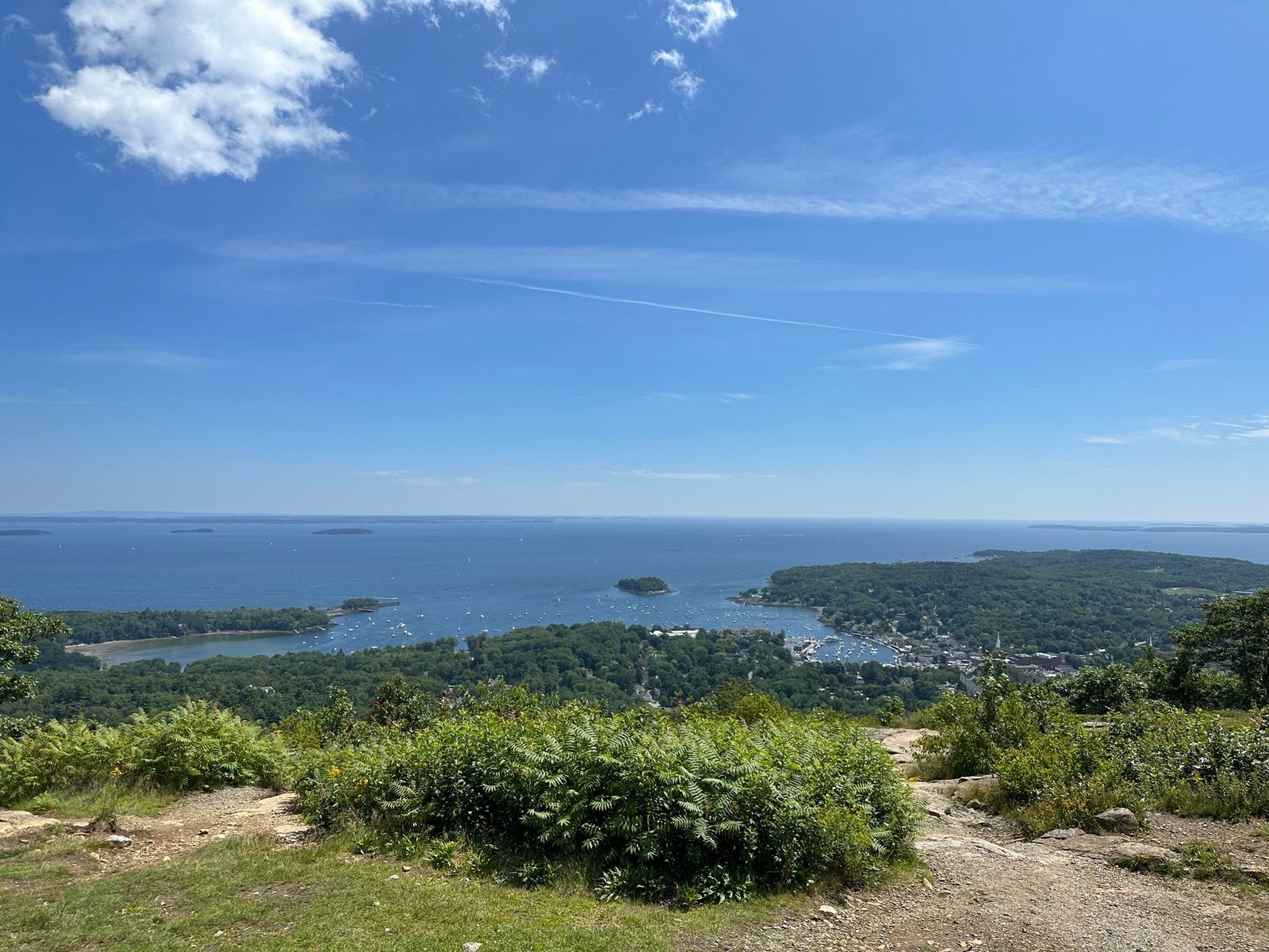 Acadia & the Maine Coast with Teddy