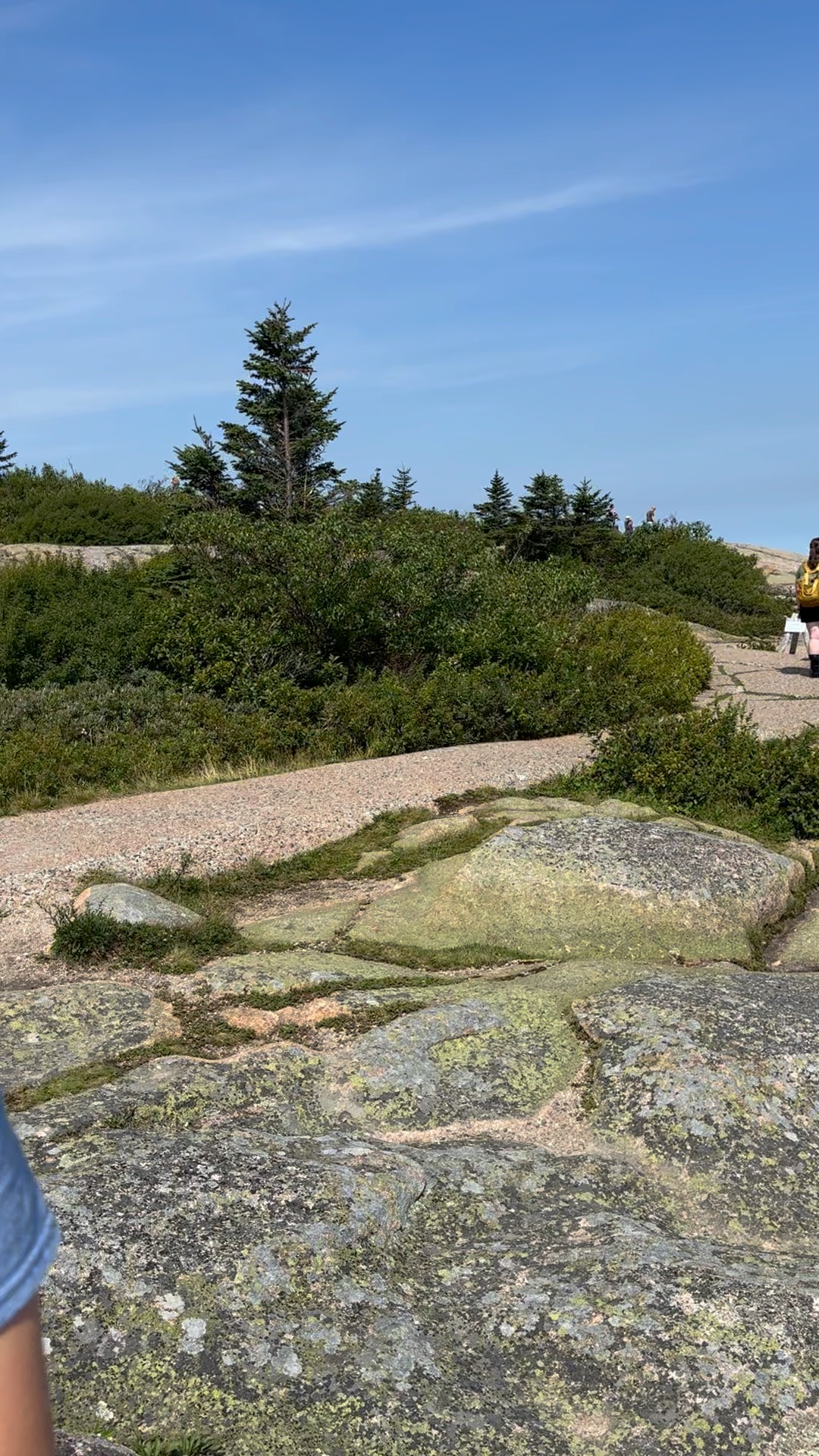 Acadia & the Maine Coast with Teddy