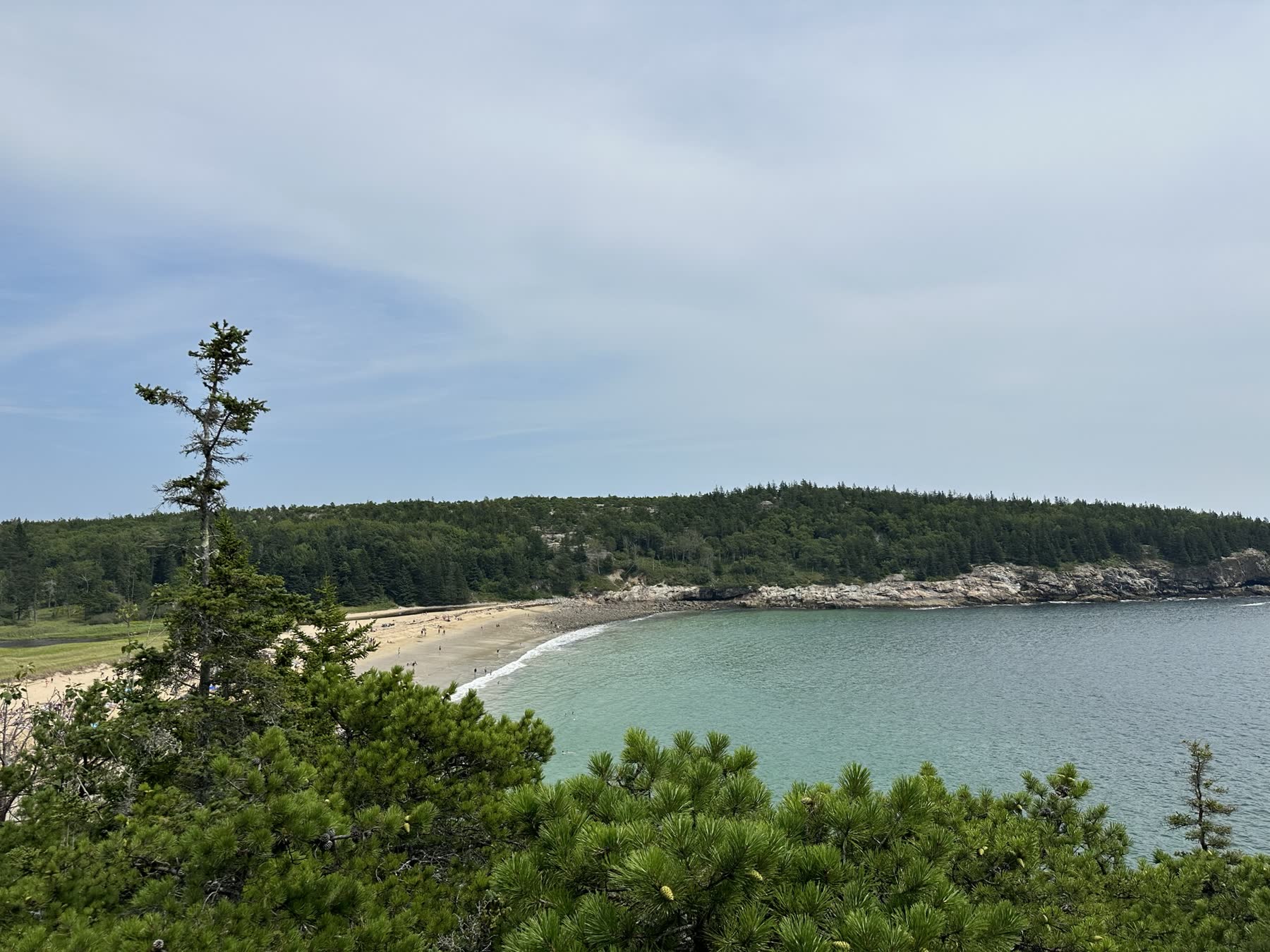 Acadia & the Maine Coast with Teddy