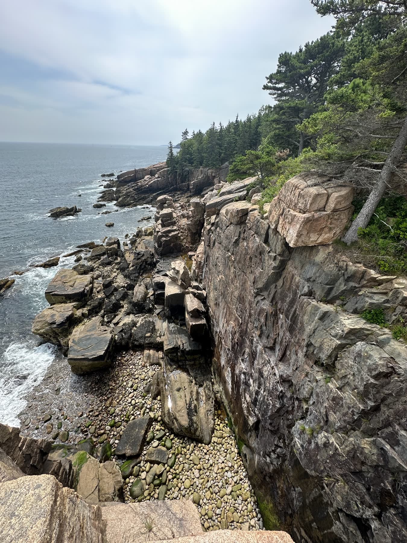 Acadia & the Maine Coast with Teddy
