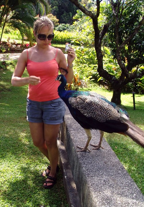 Maui with Katia — the Road to Hana