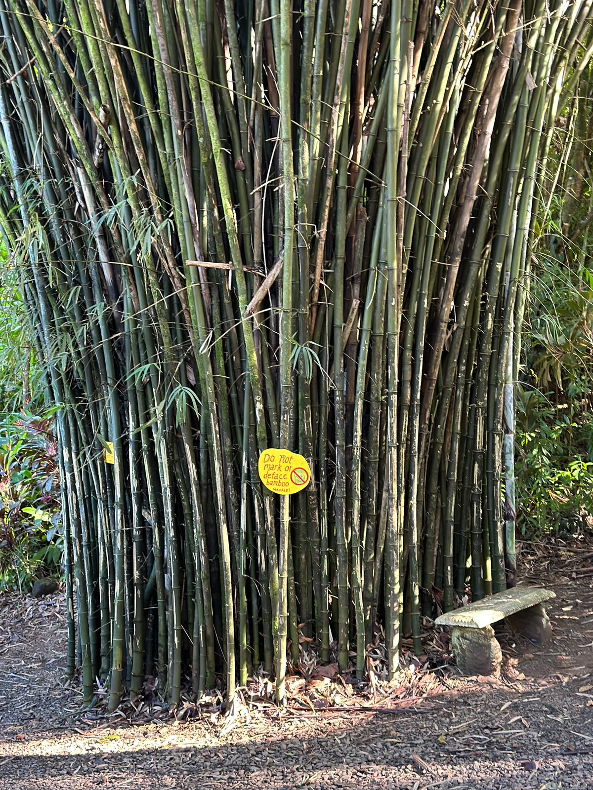 Maui — Haleakalā & the Coast