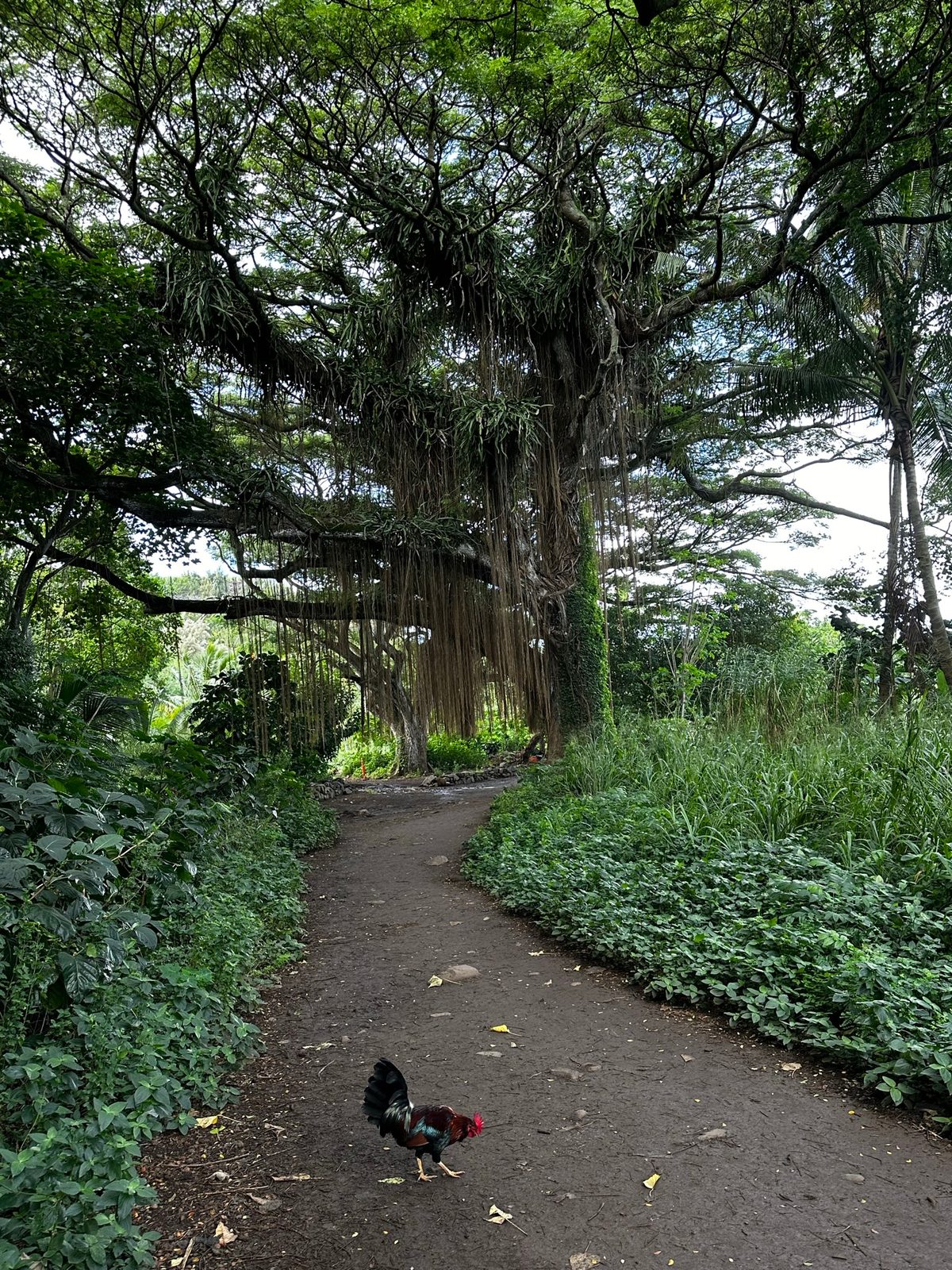 Maui — Haleakalā & the Coast
