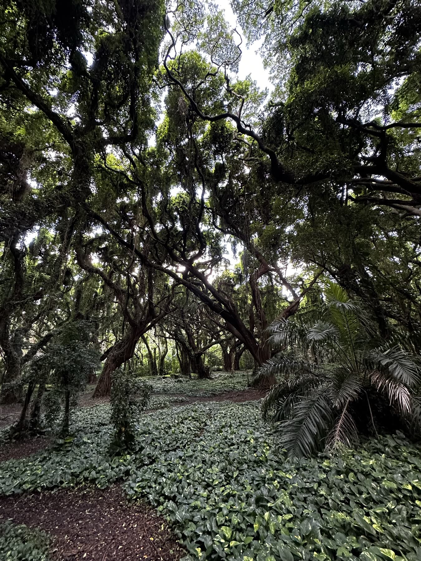 Maui — Haleakalā & the Coast