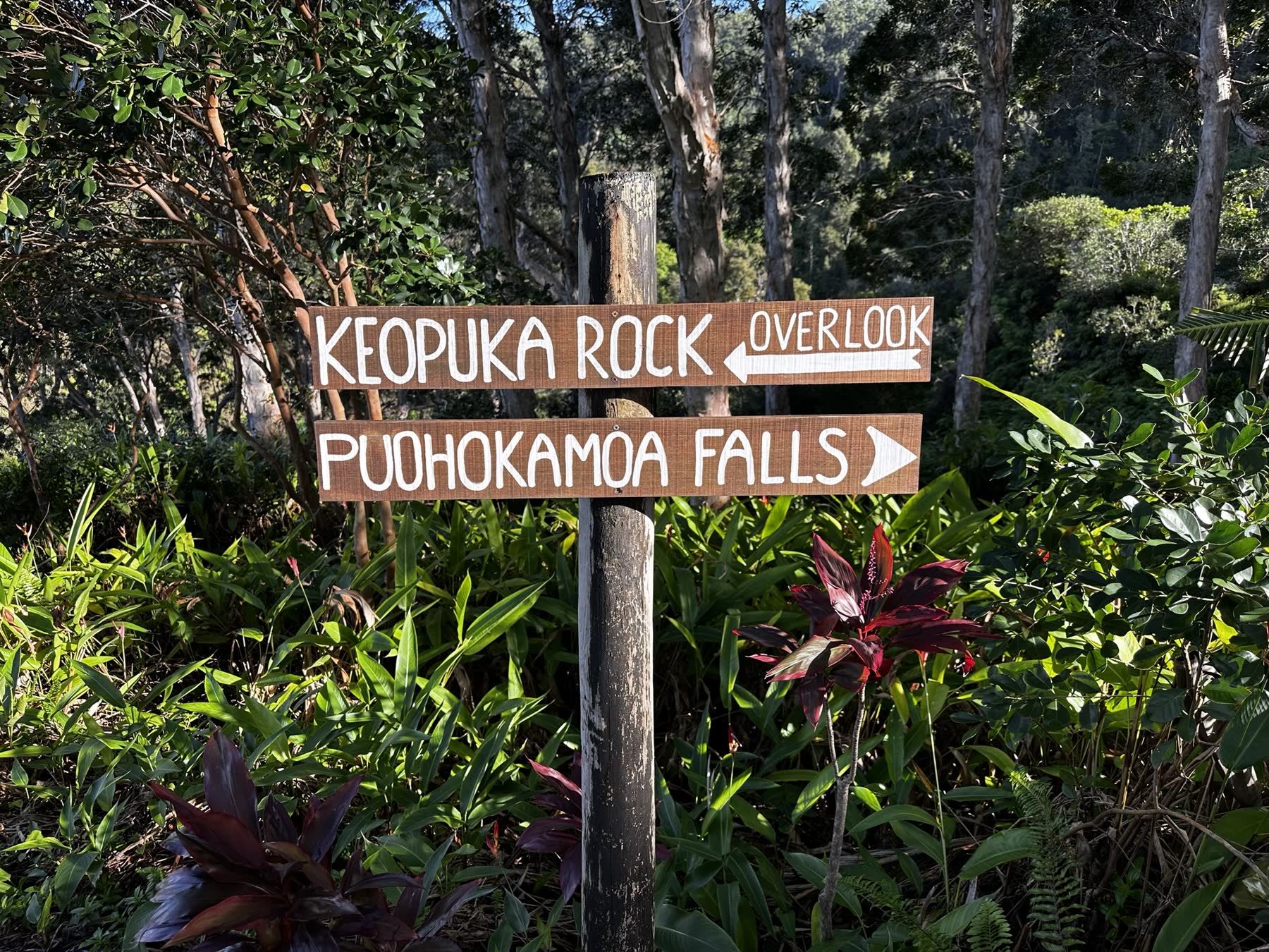 Maui — Haleakalā & the Coast