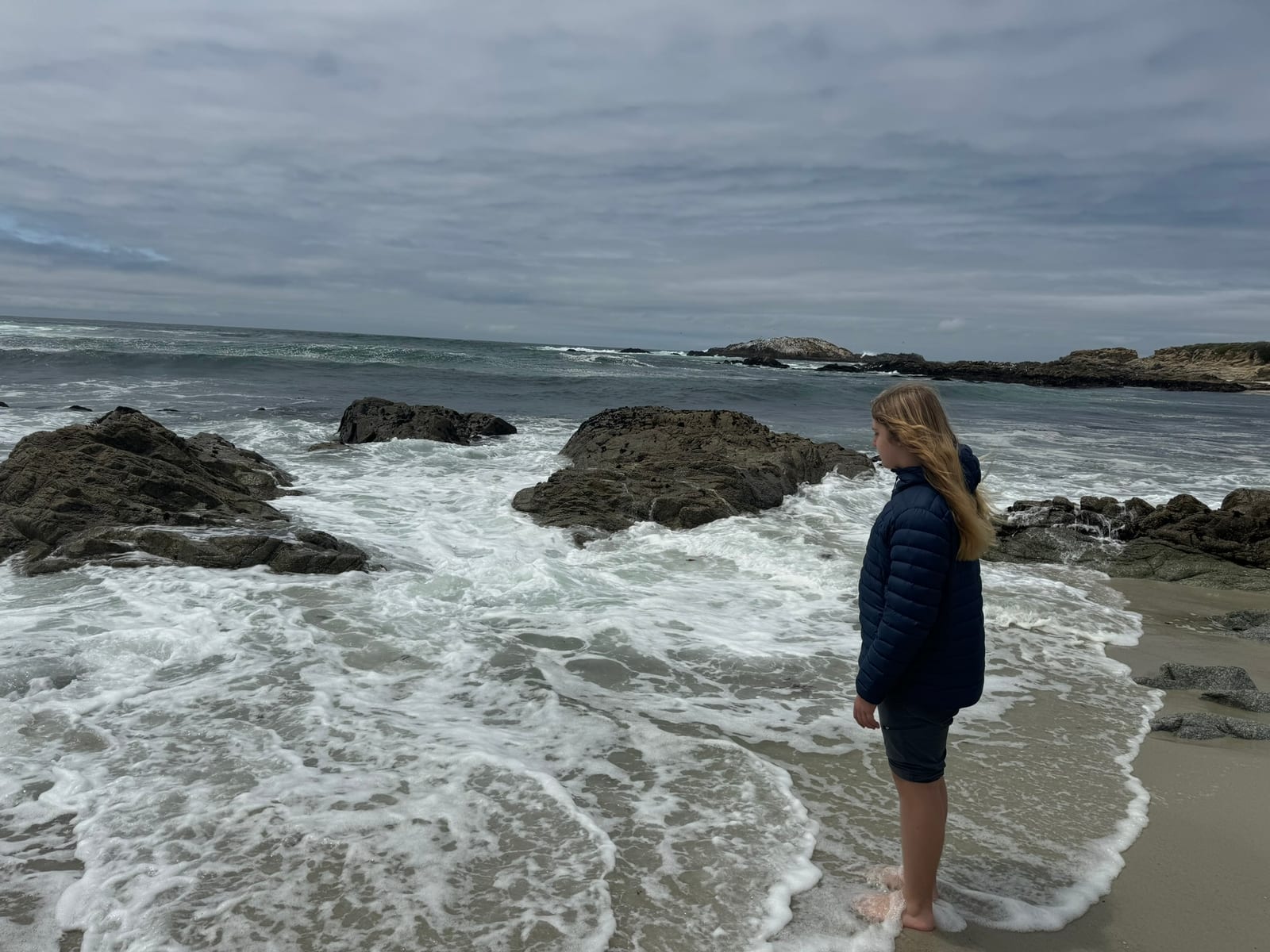 17-Mile Drive & Carmel