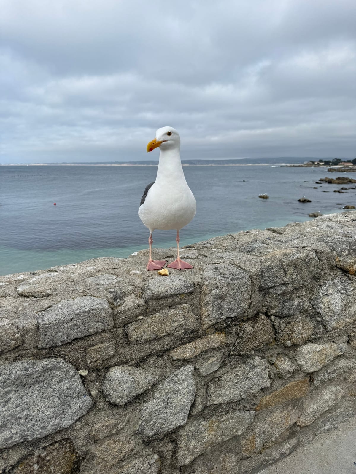 17-Mile Drive & Carmel