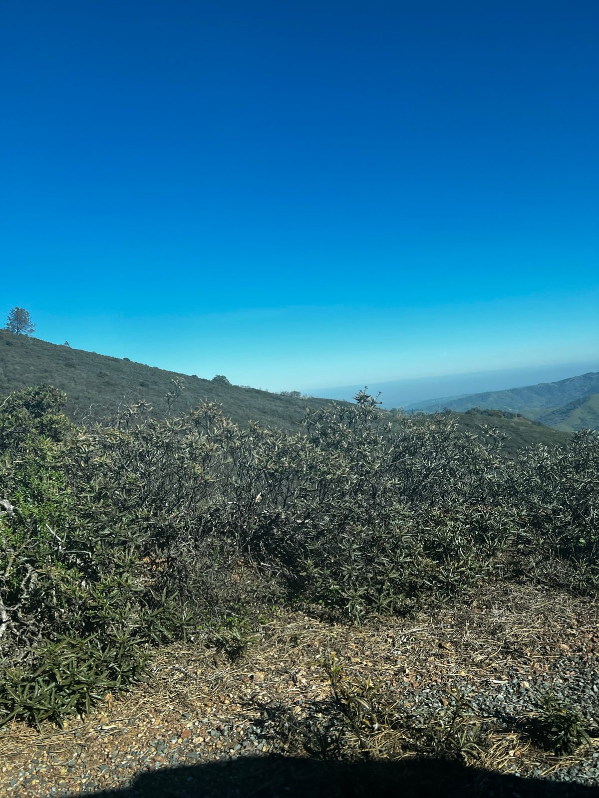 Mount Diablo Summit