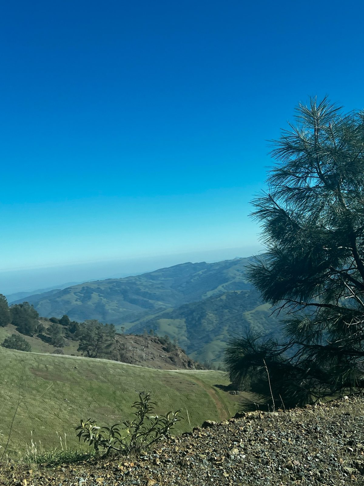 Mount Diablo Summit