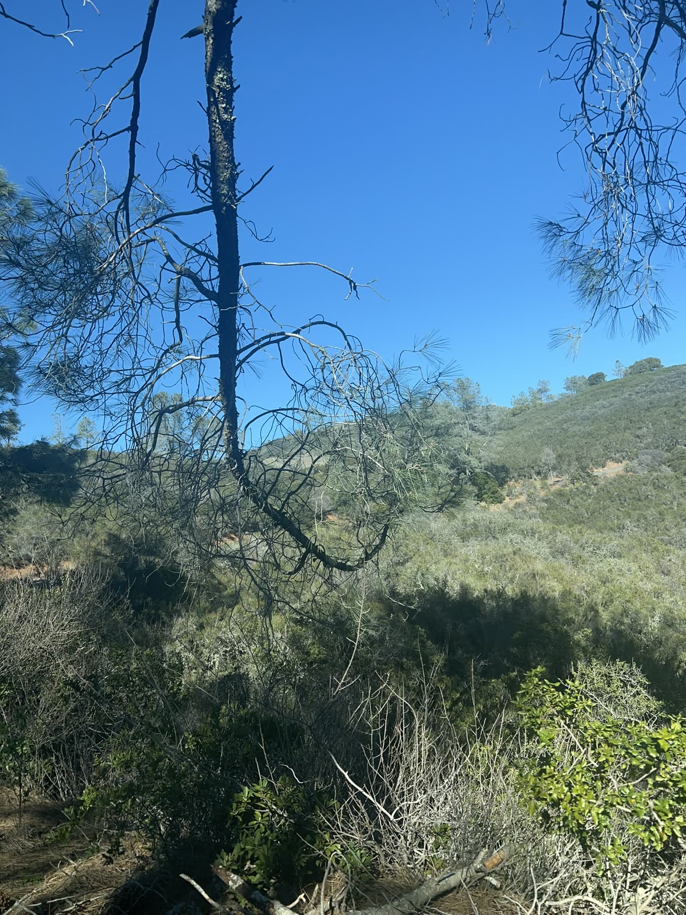Mount Diablo Summit