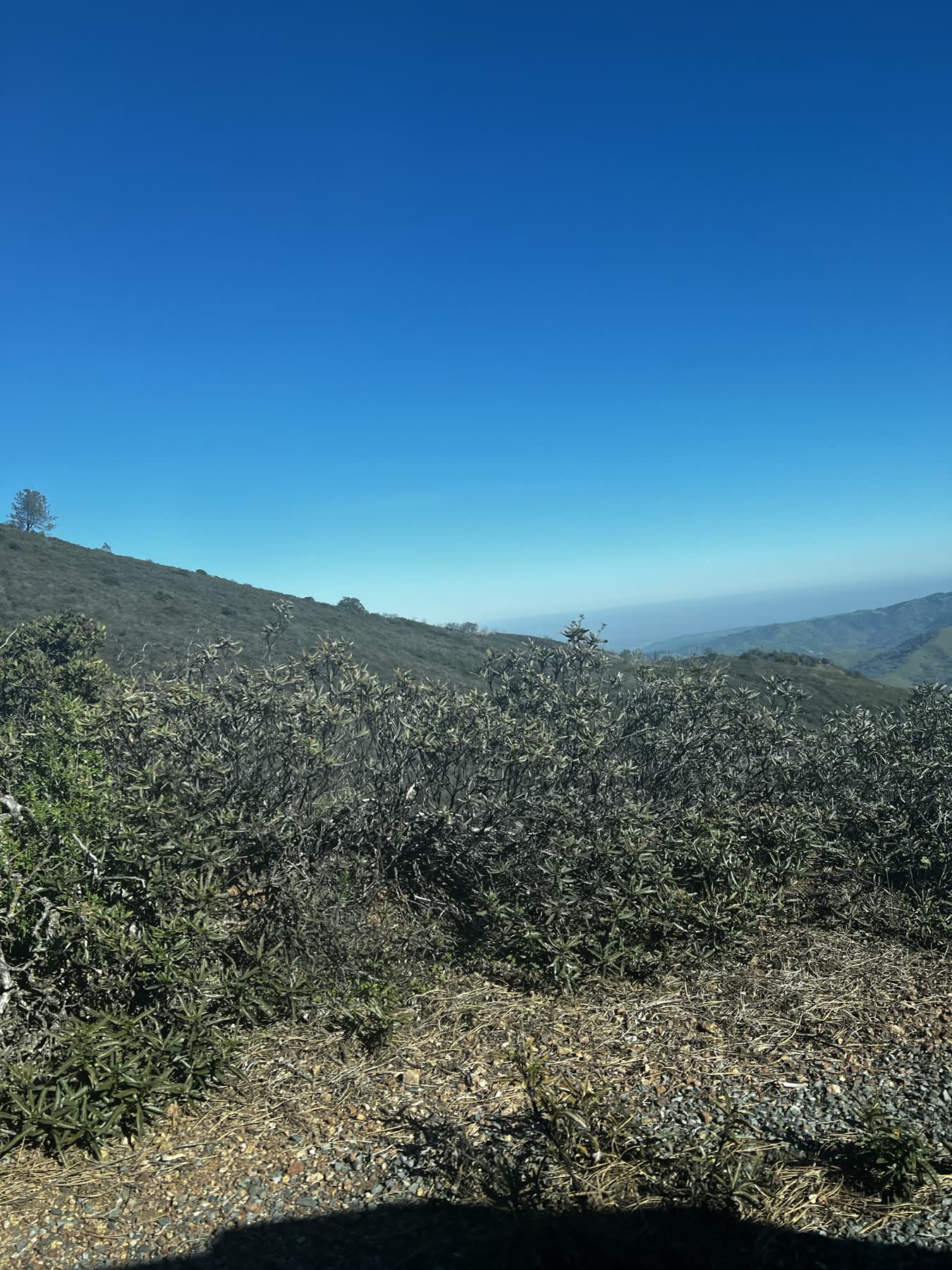 Mount Diablo Summit