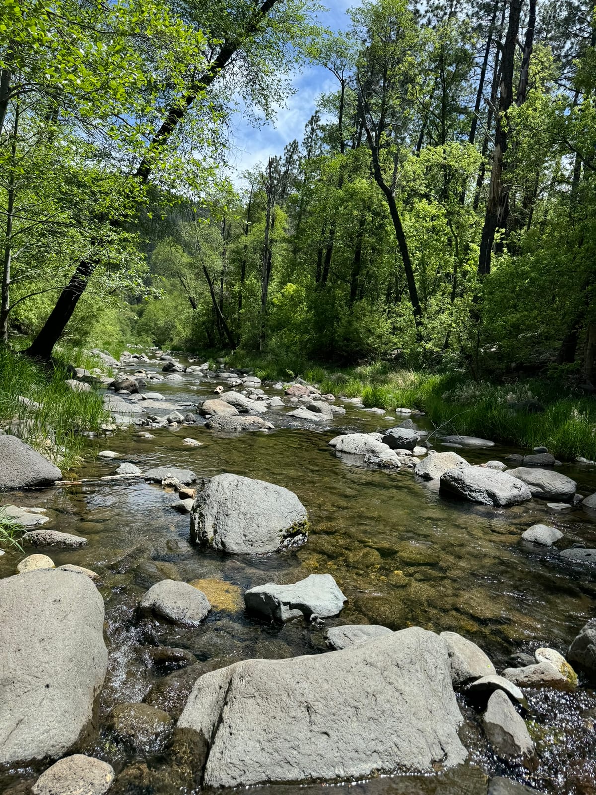 Oak Creek Canyon with Teddy