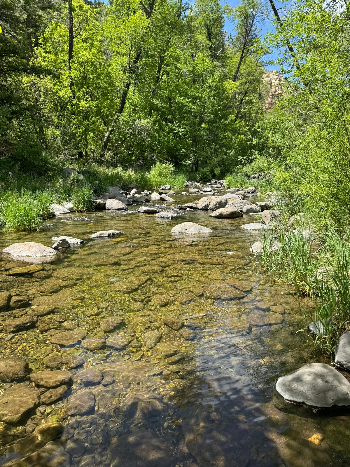 Oak Creek Canyon with Teddy