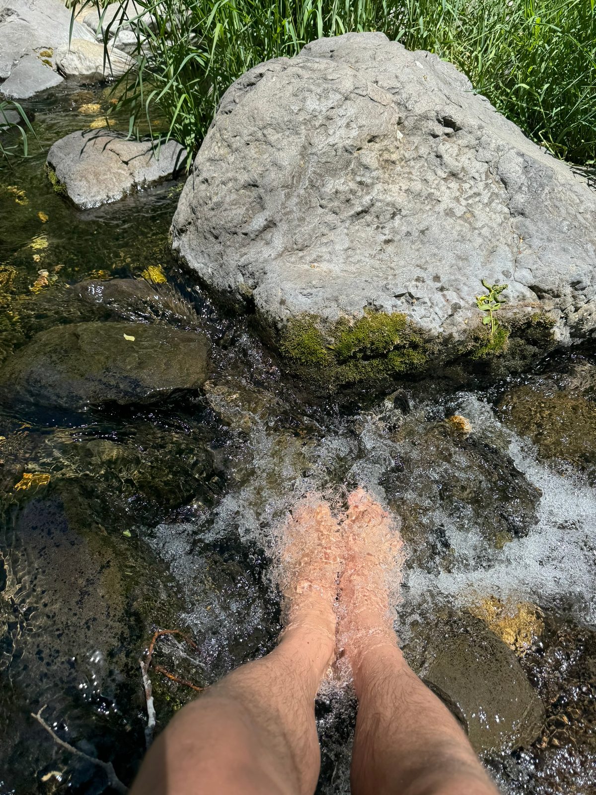 Oak Creek Canyon with Teddy