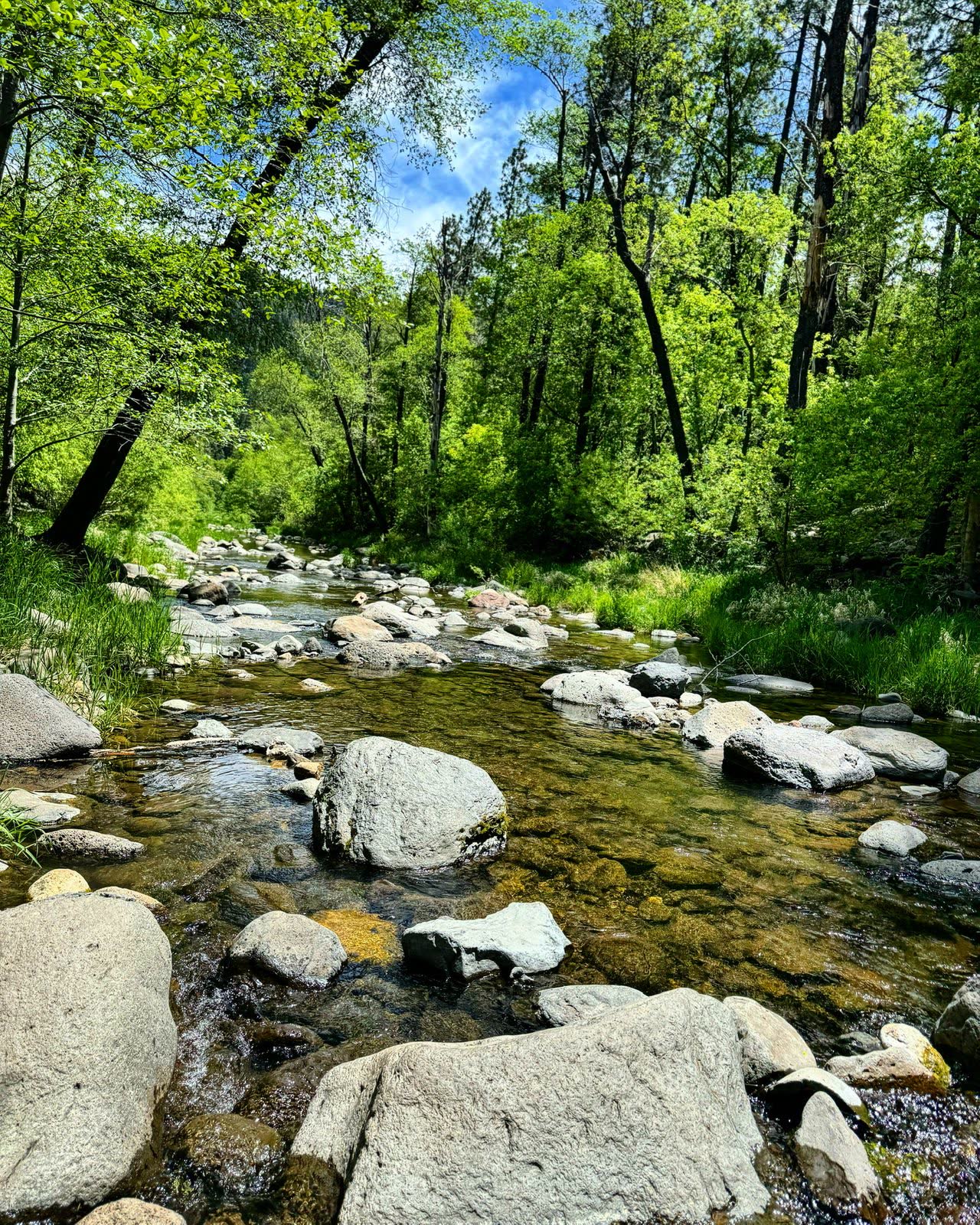 Oak Creek Canyon with Teddy