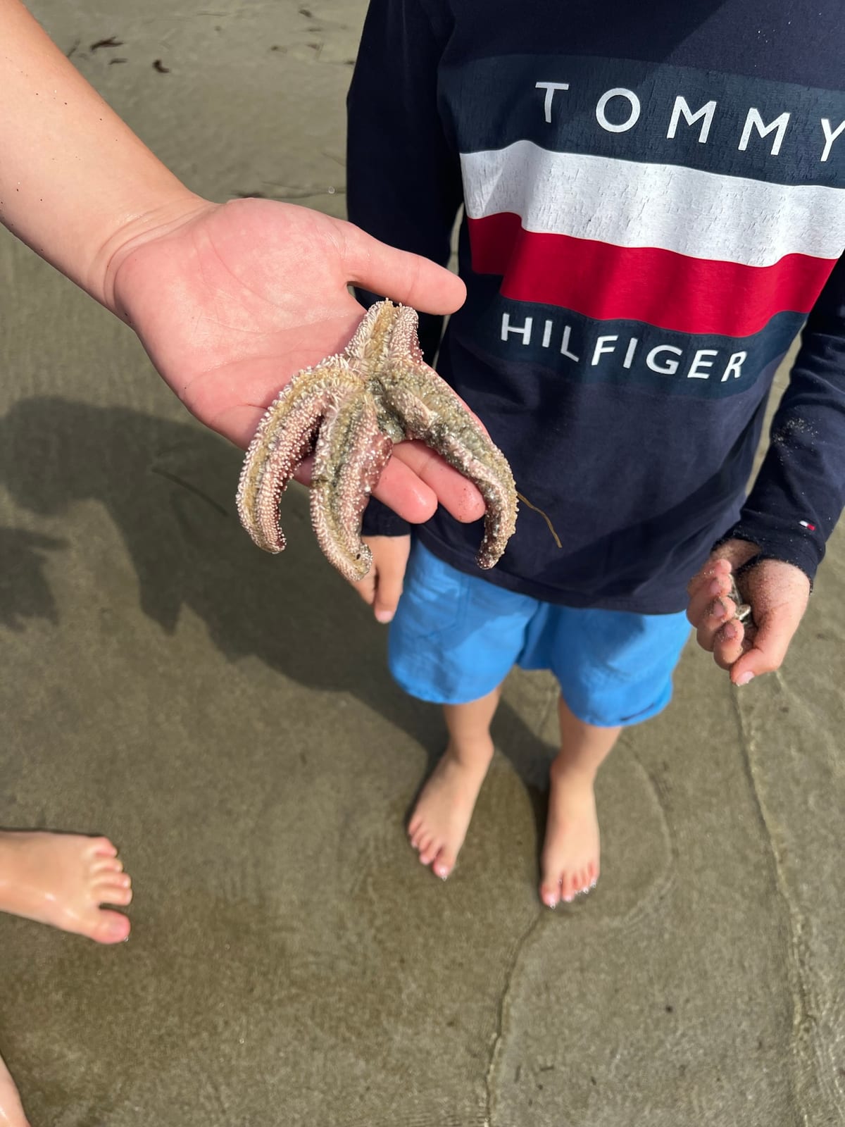 Pacifica Beach with Dante