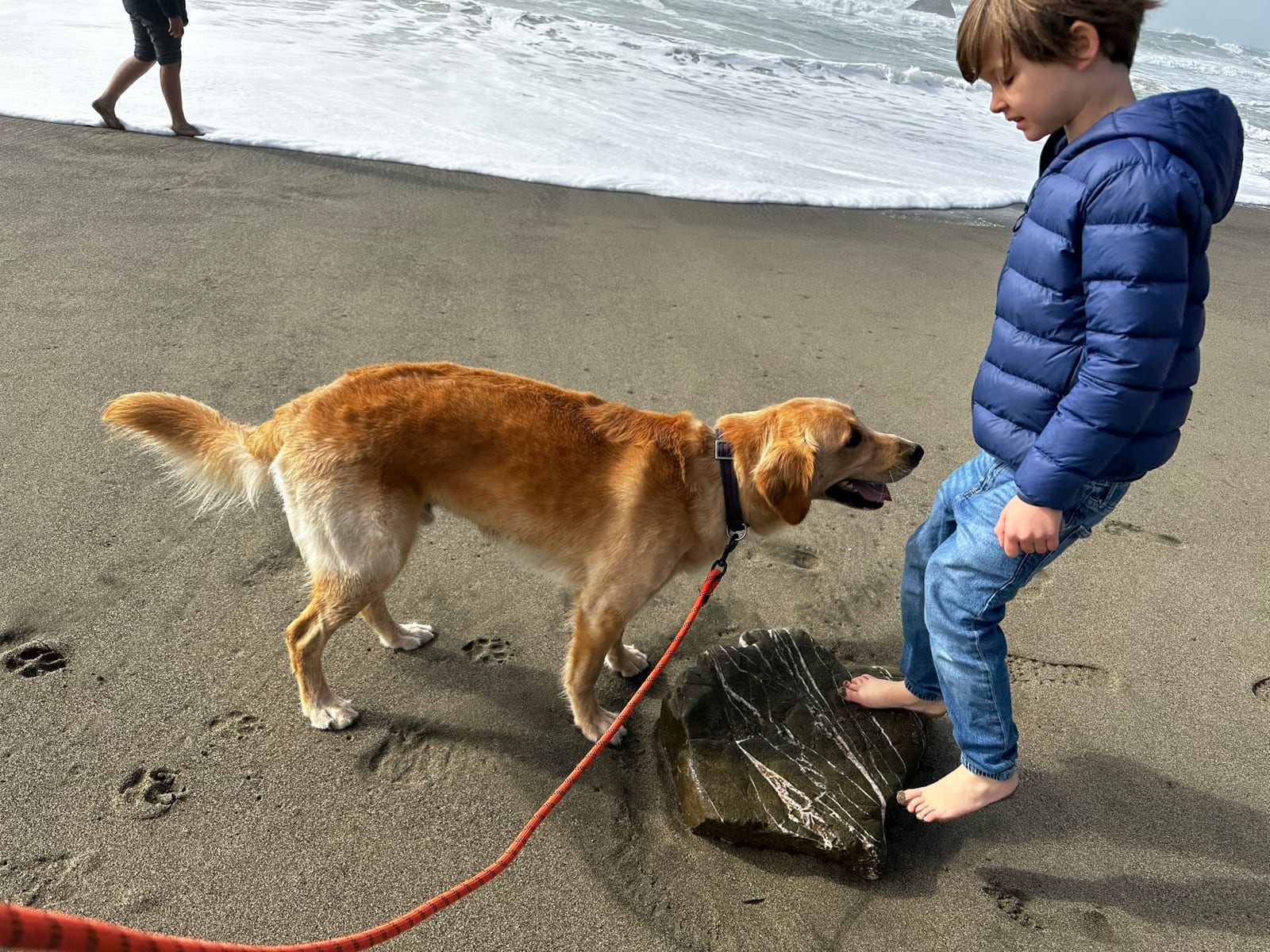Pacifica Beach with Dante
