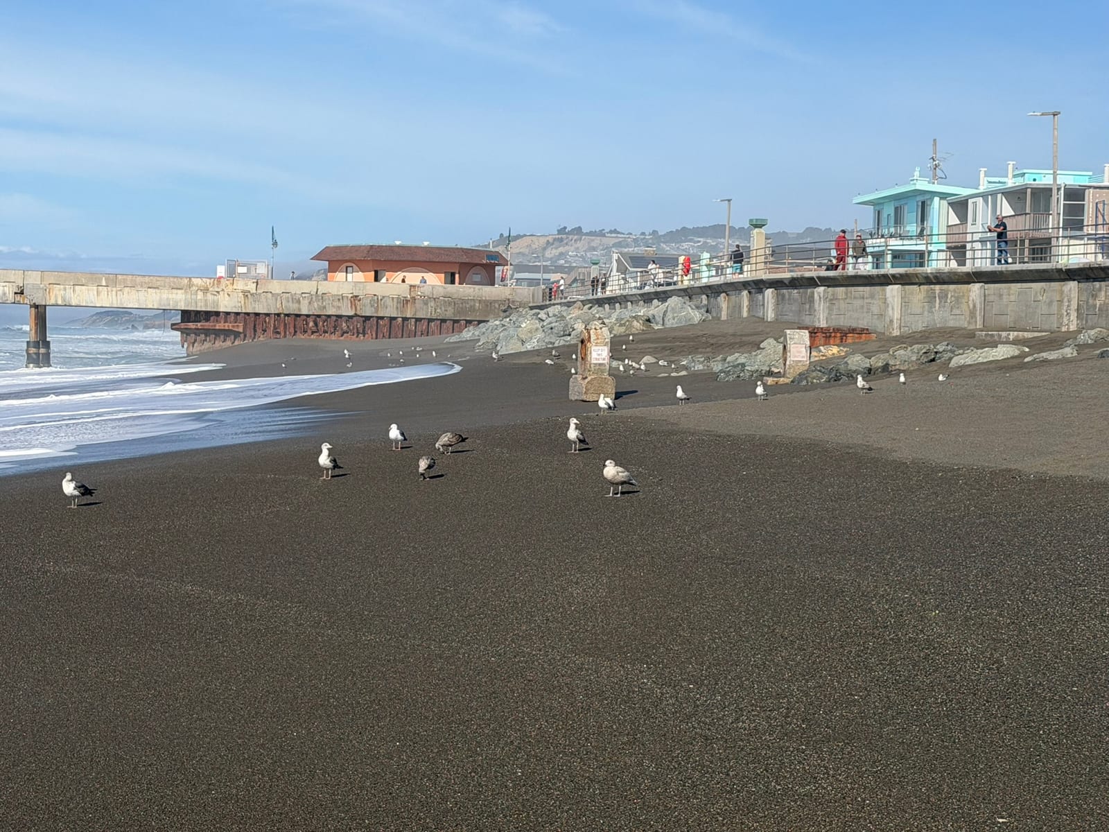 Pacifica Beach with Dante