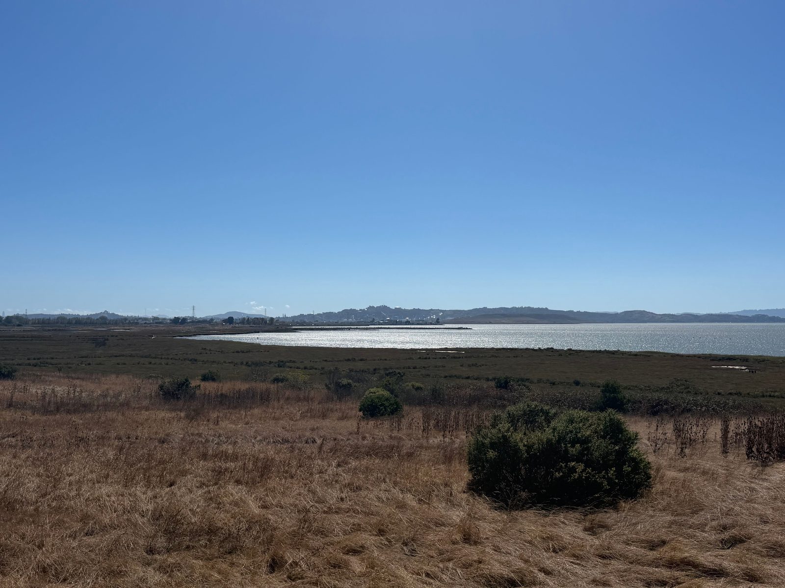 Point Pinole Regional Shoreline