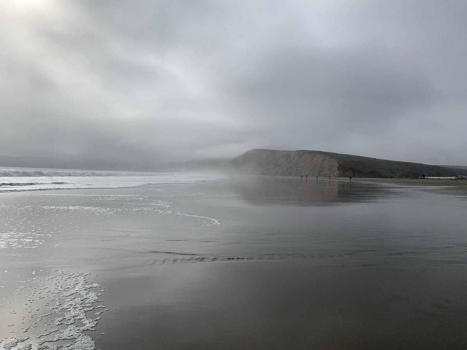 Point Reyes Beaches with Dante