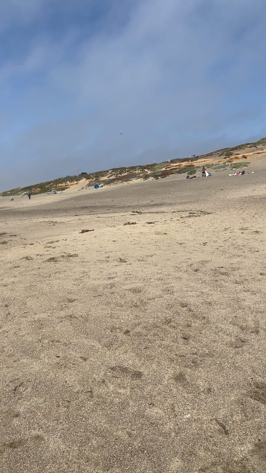 Point Reyes Beaches with Dante