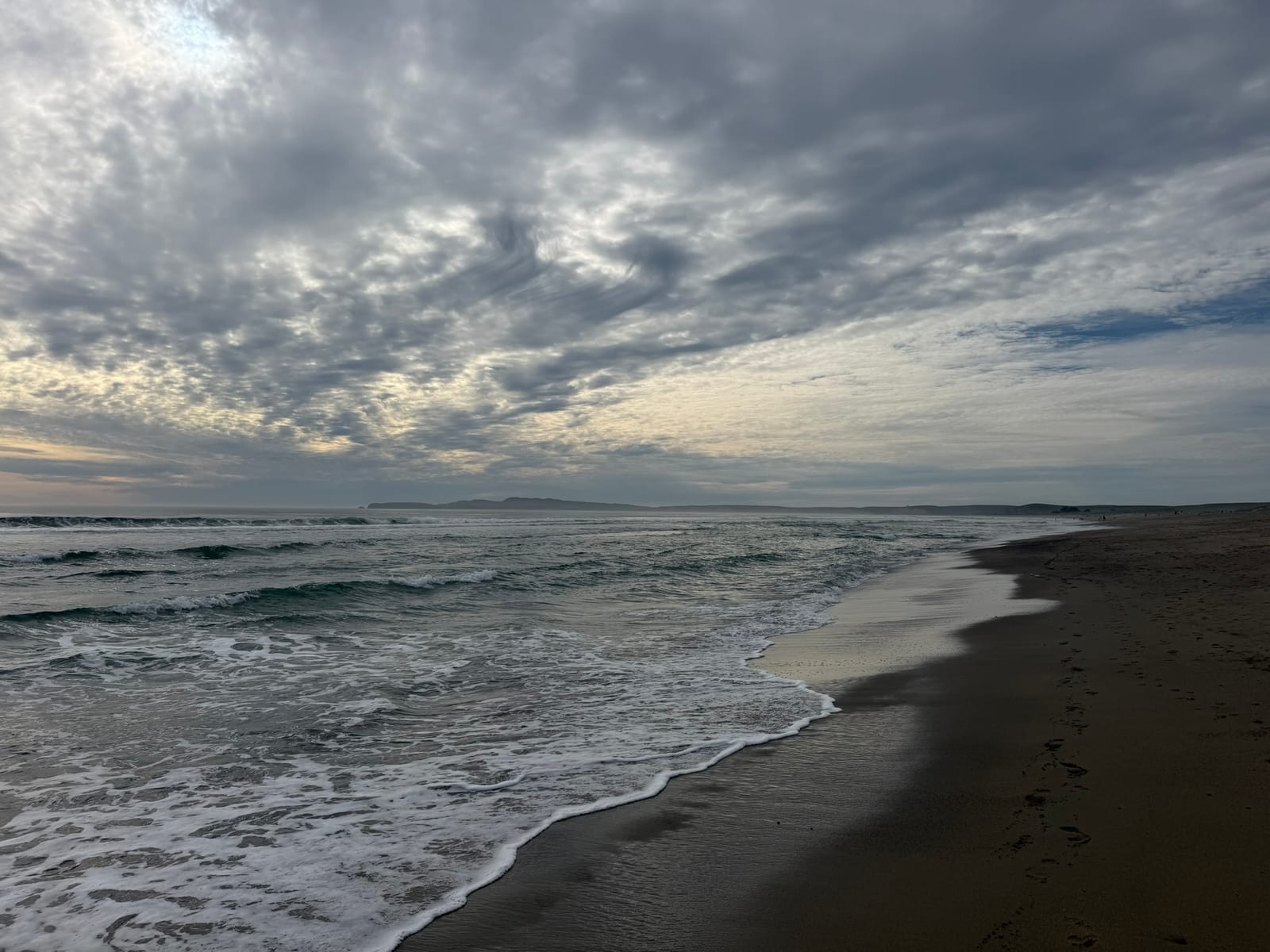 Point Reyes Beaches with Dante