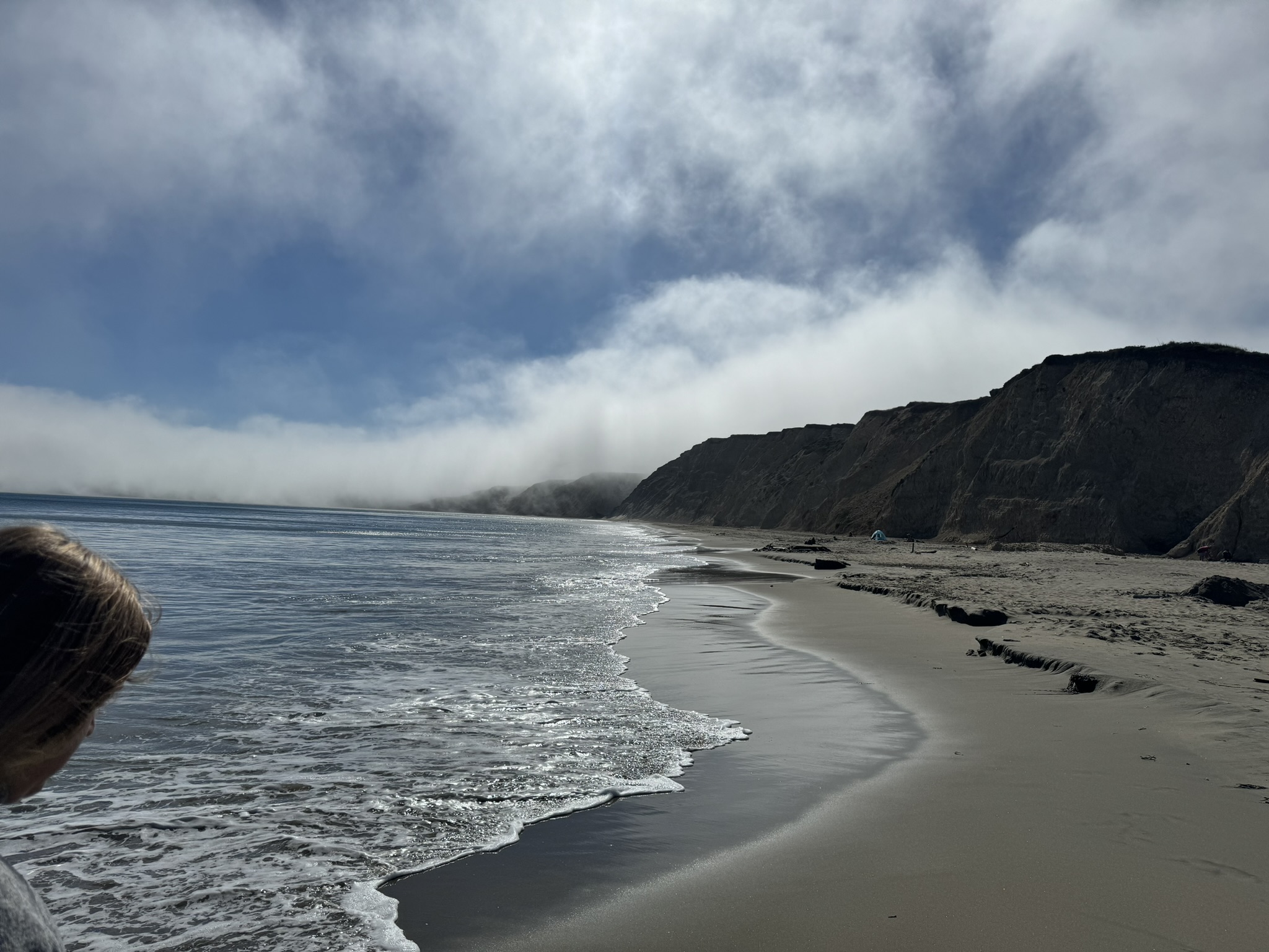 Point Reyes Beaches with Dante