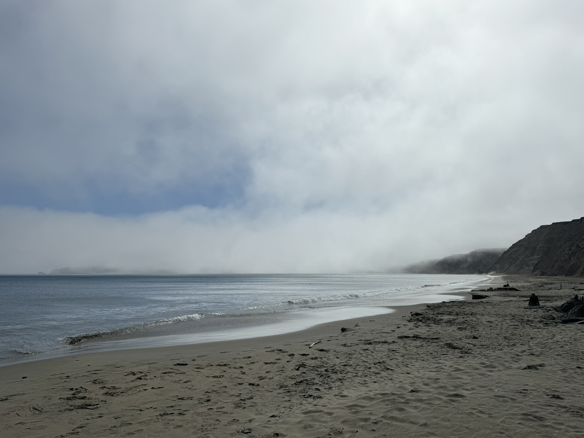 Point Reyes Beaches with Dante