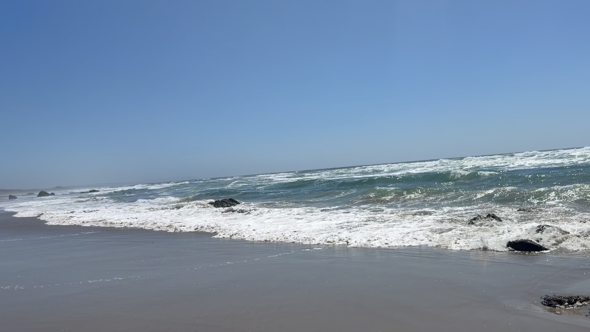 Point Reyes Beaches with Dante