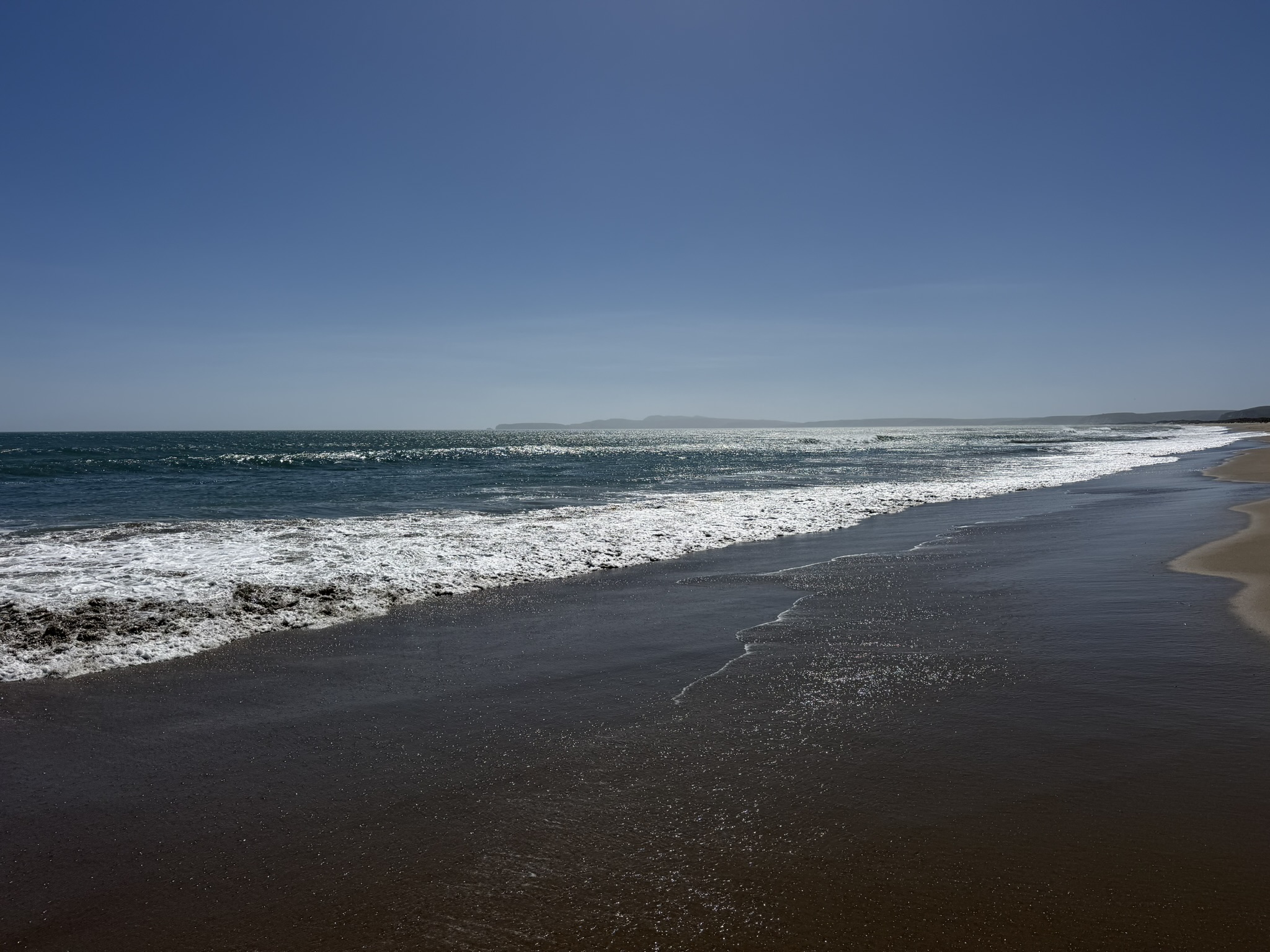 Point Reyes Beaches with Dante