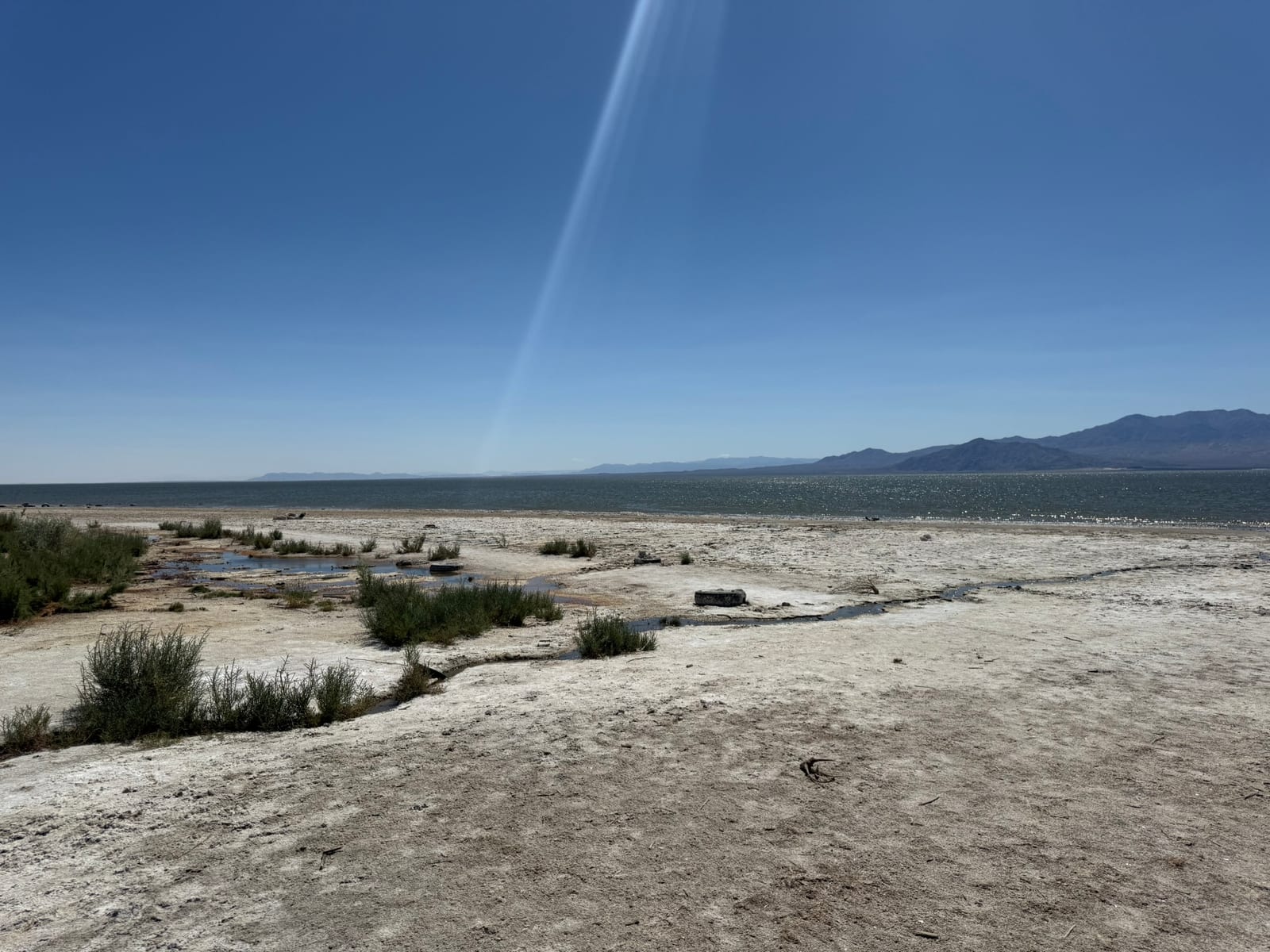Salton Sea
