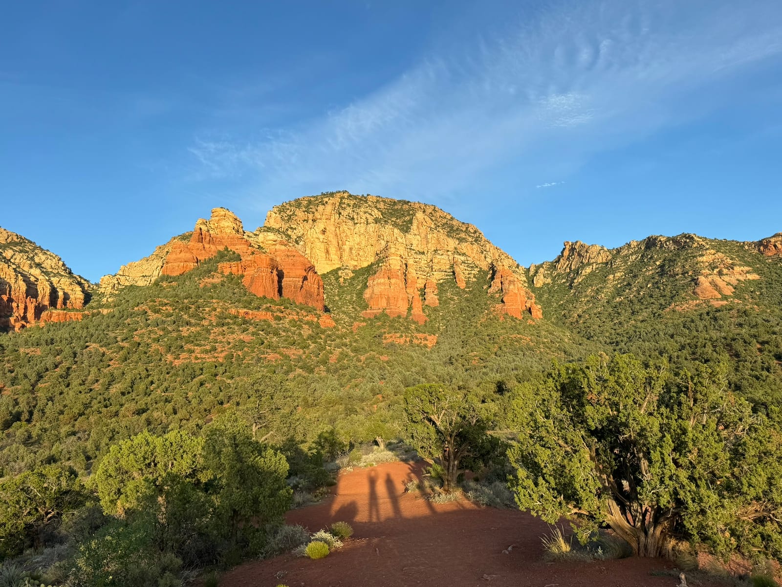 Sedona with Teddy