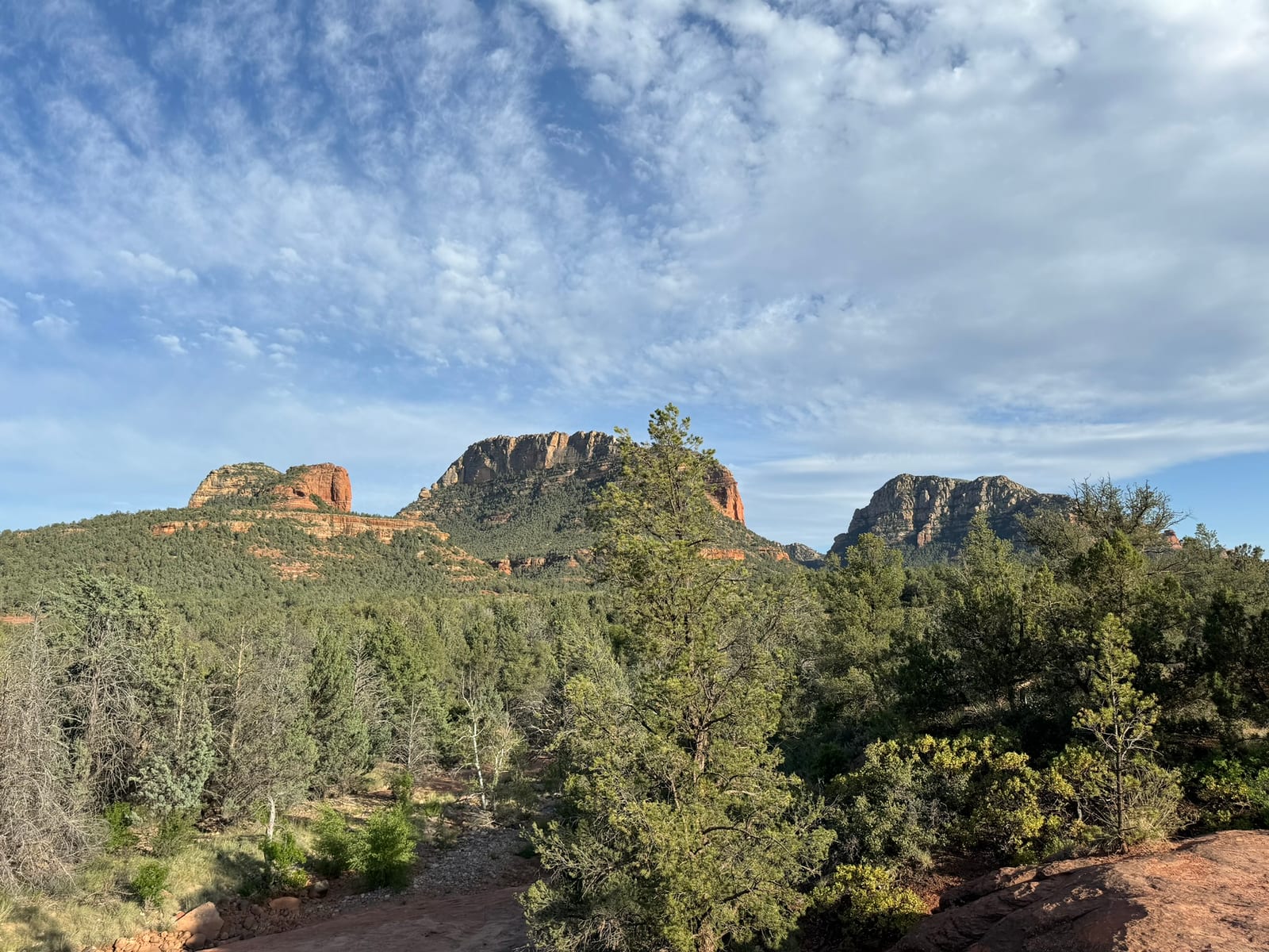 Sedona with Teddy