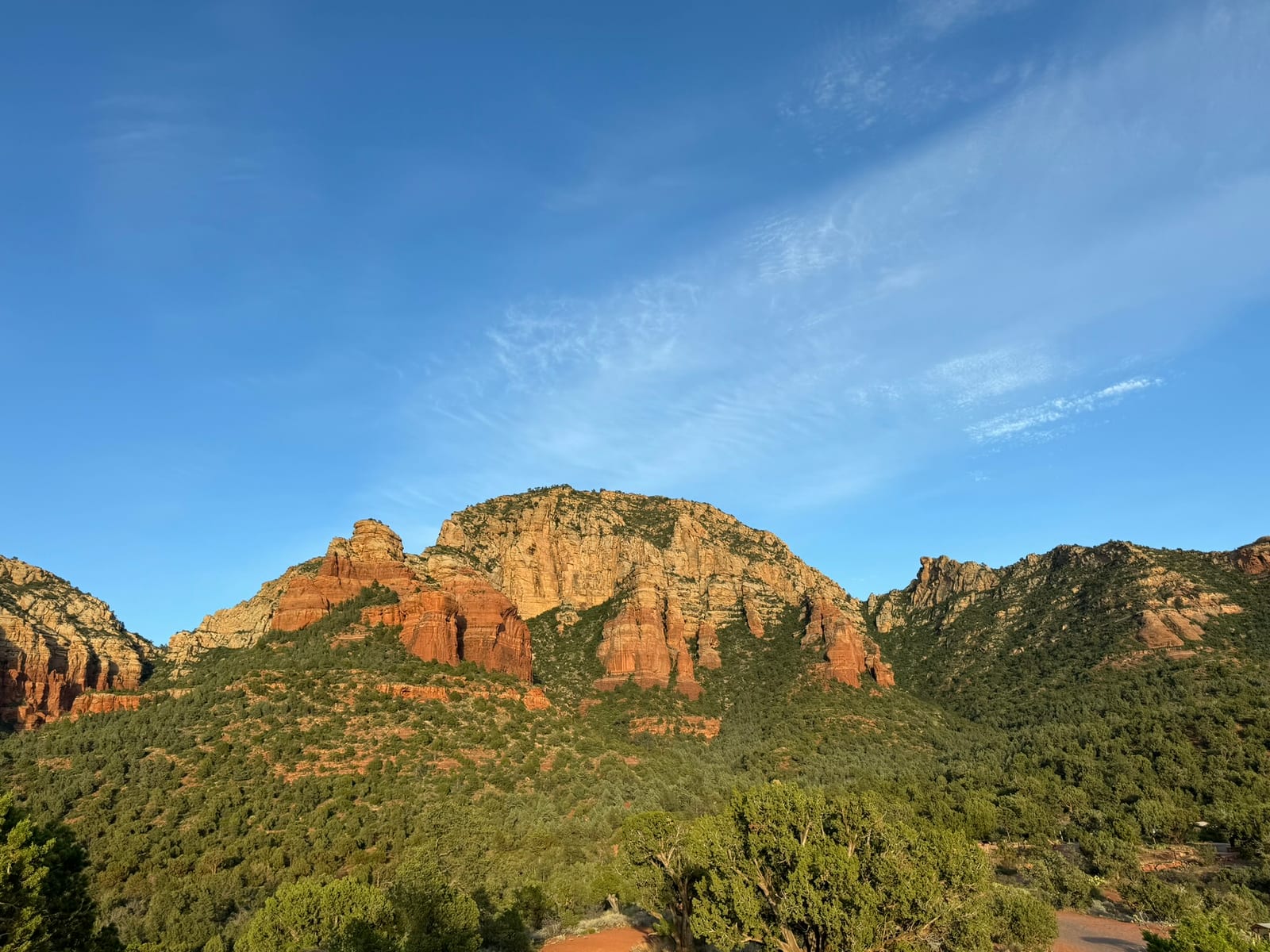 Sedona with Teddy
