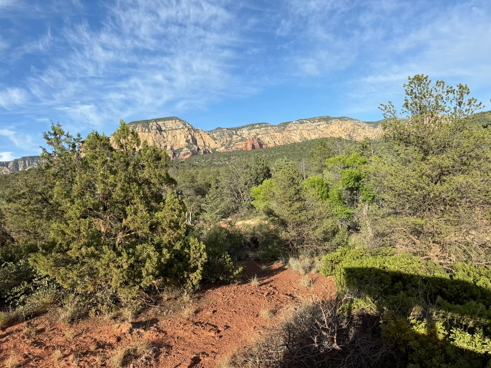 Sedona with Teddy