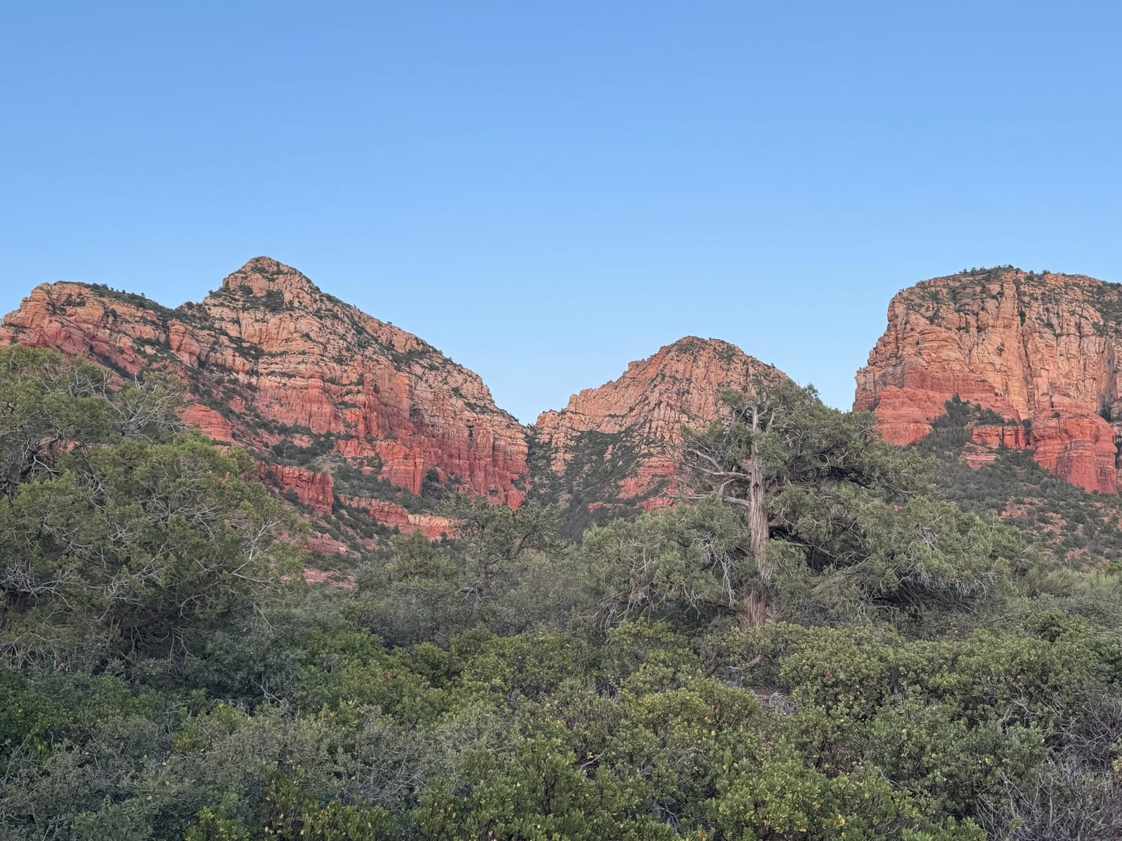 Sedona with Teddy