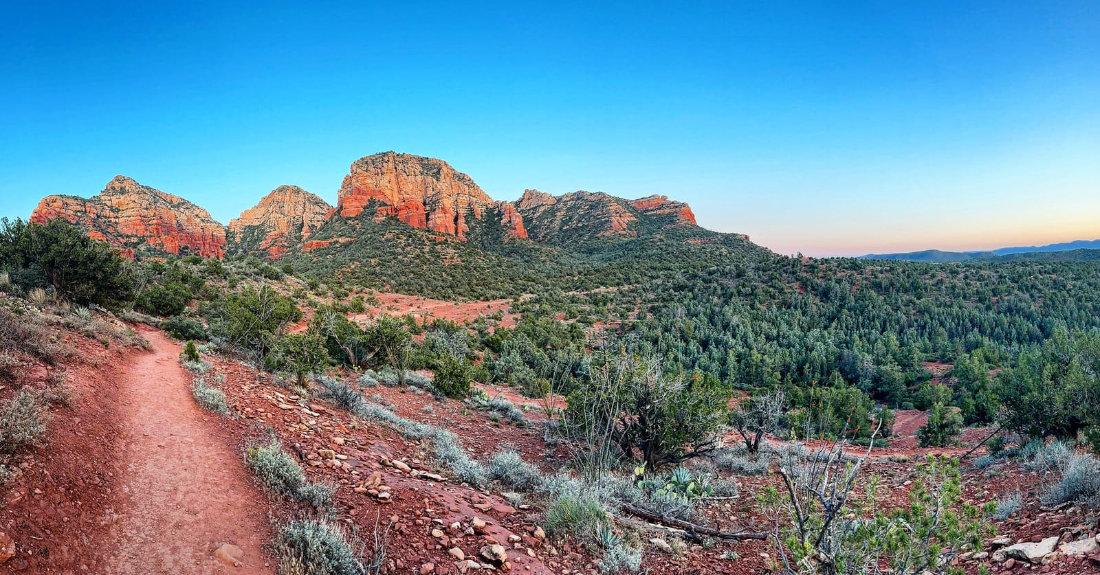 Sedona with Teddy