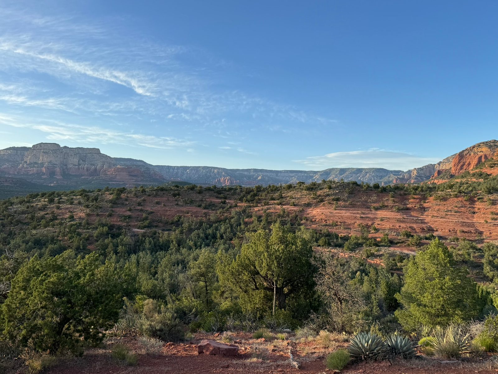 Sedona with Teddy